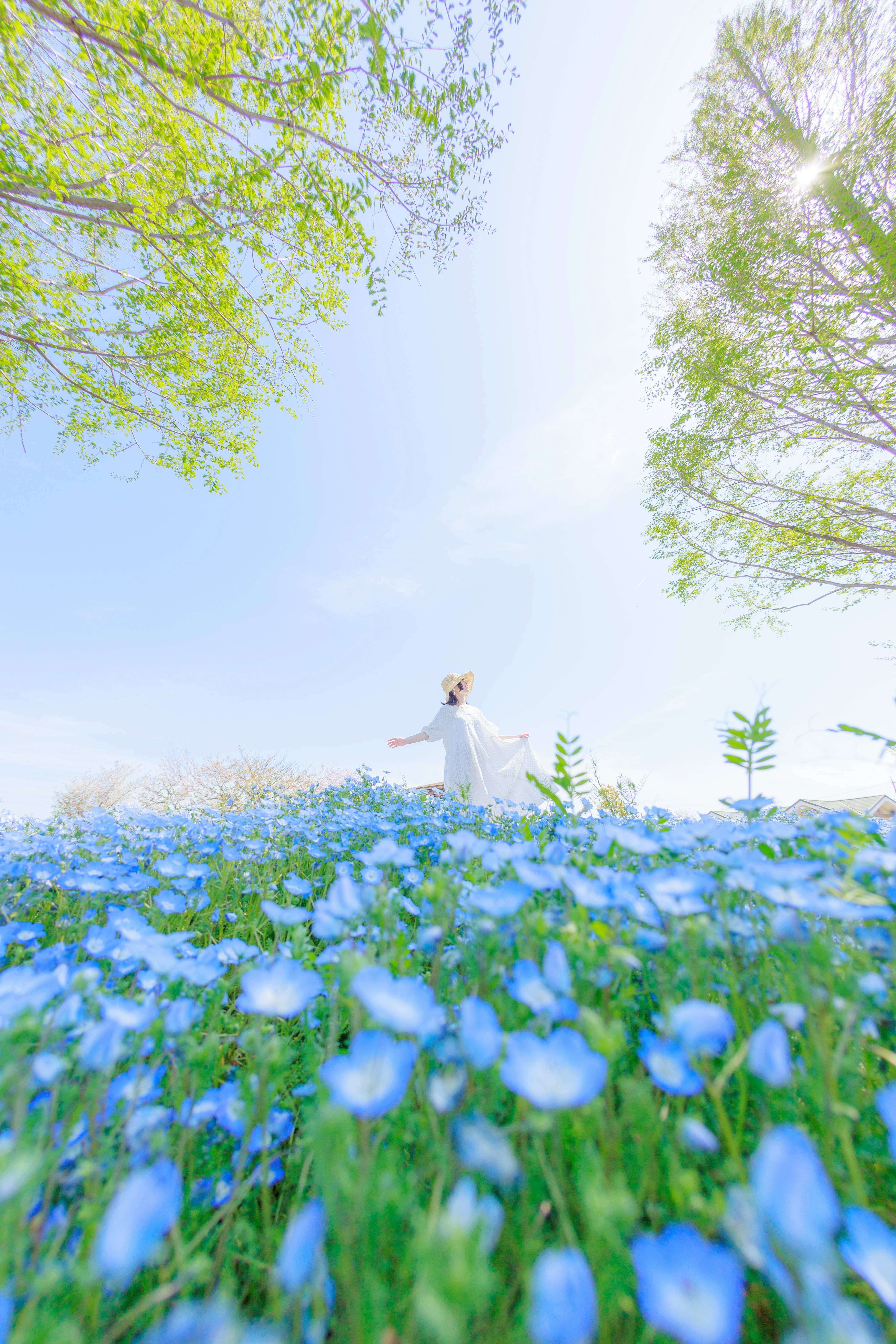 青い花に囲まれた女性が晴れた空の下で微笑んでいる