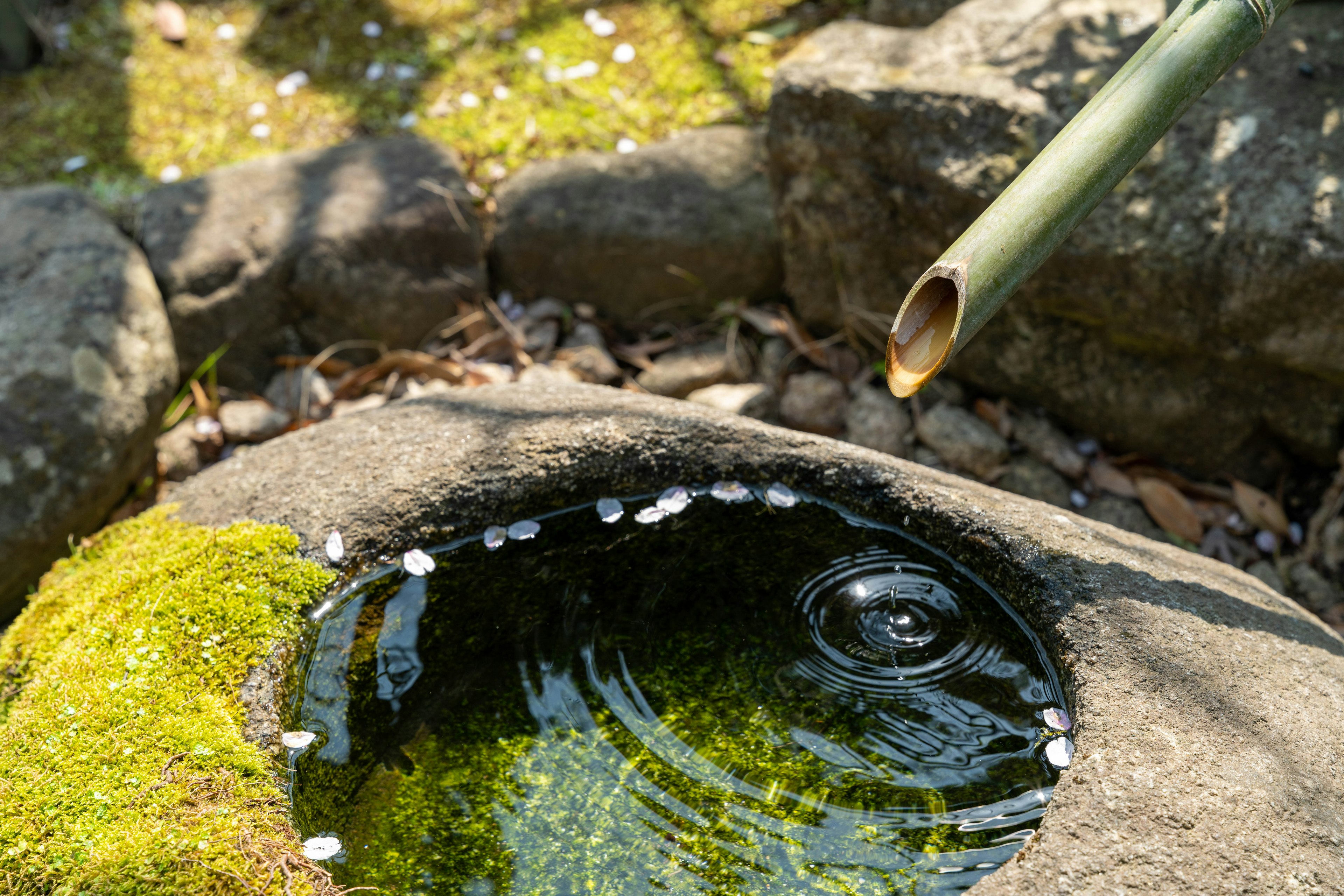 Nahaufnahme eines Steingrabens mit Bambusauslauf und wellendem Wasser