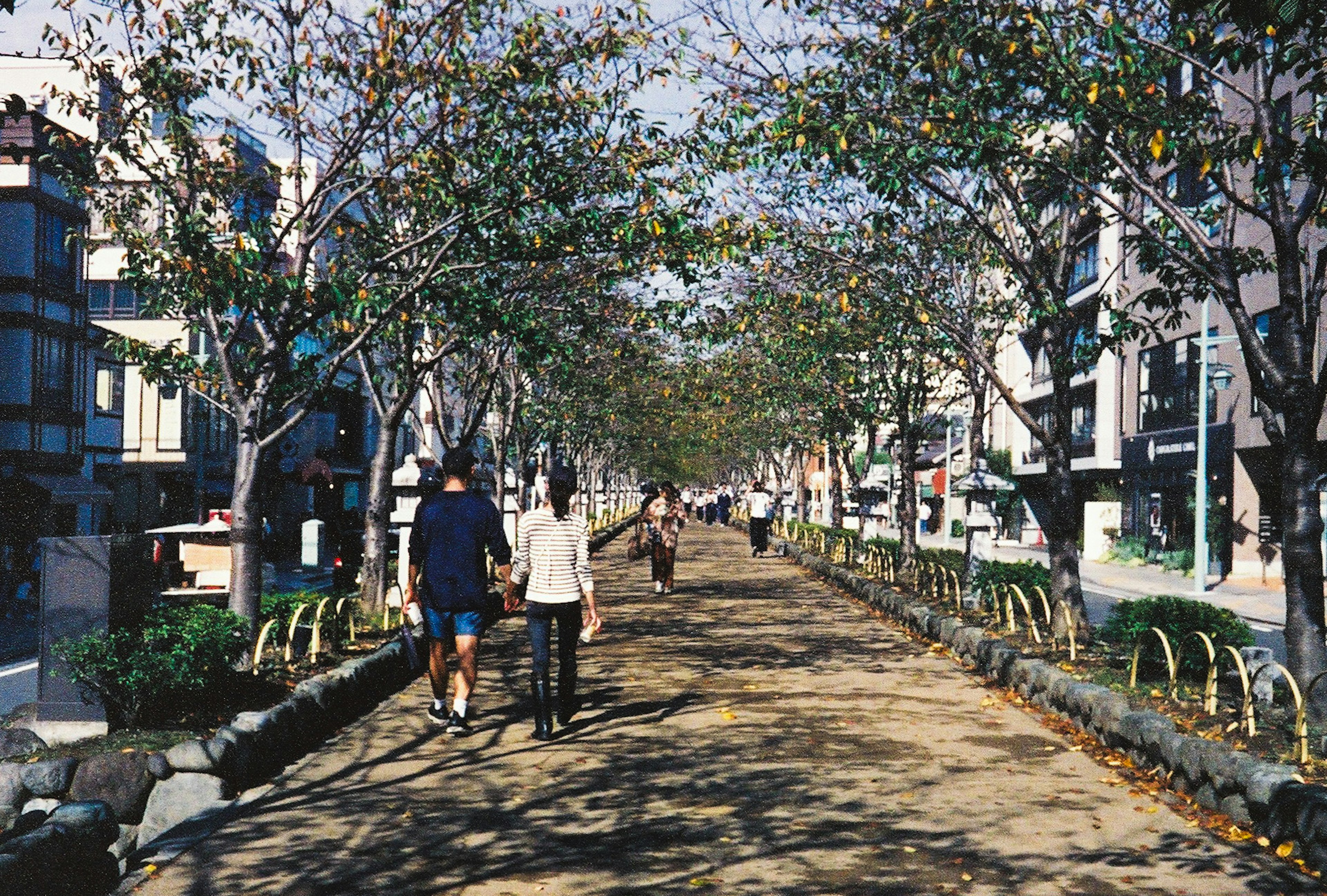 Orang-orang berjalan di jalur yang dipenuhi pohon dengan jalan-jalan yang tenang