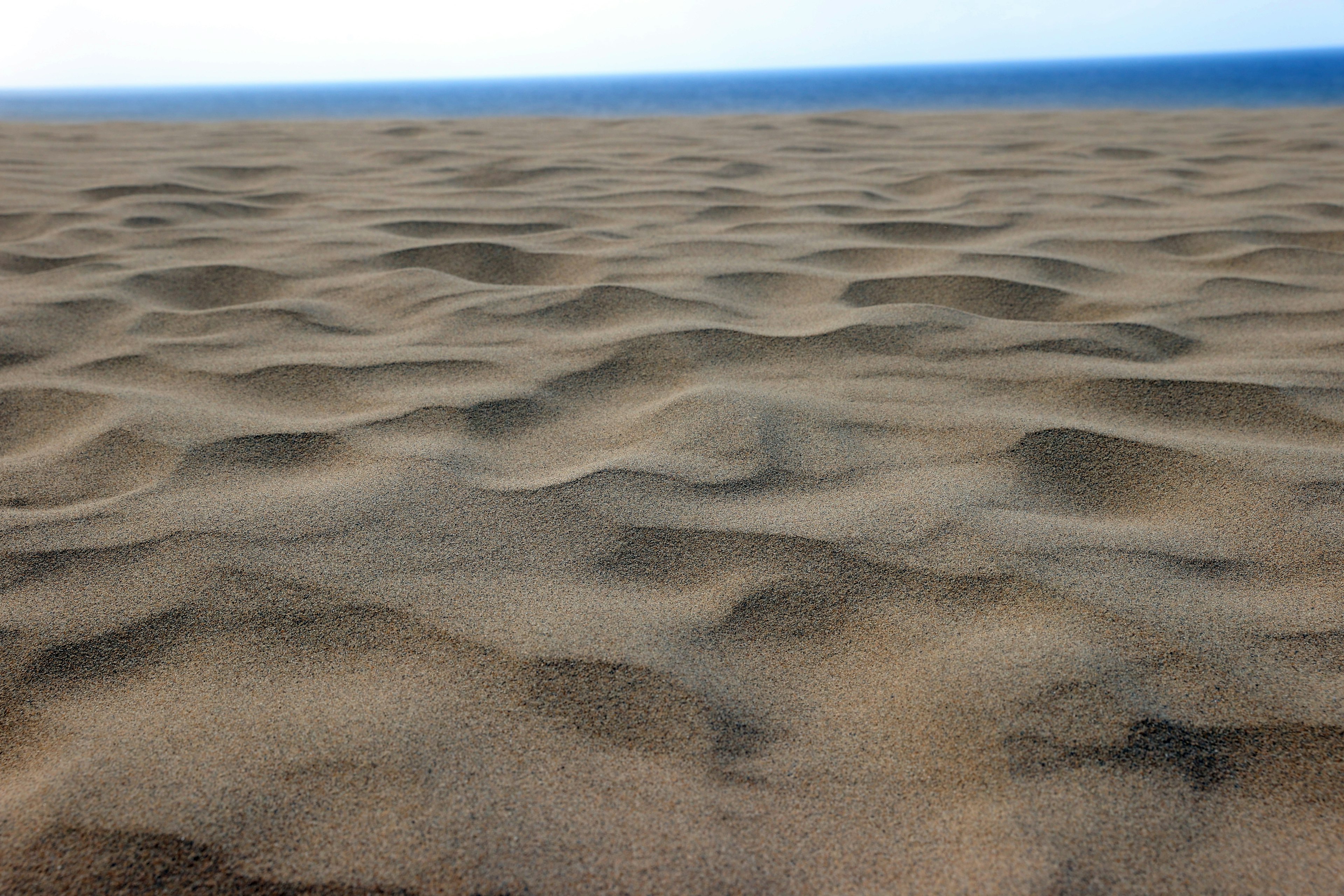 Dune di sabbia con ondulazioni e oceano blu sullo sfondo