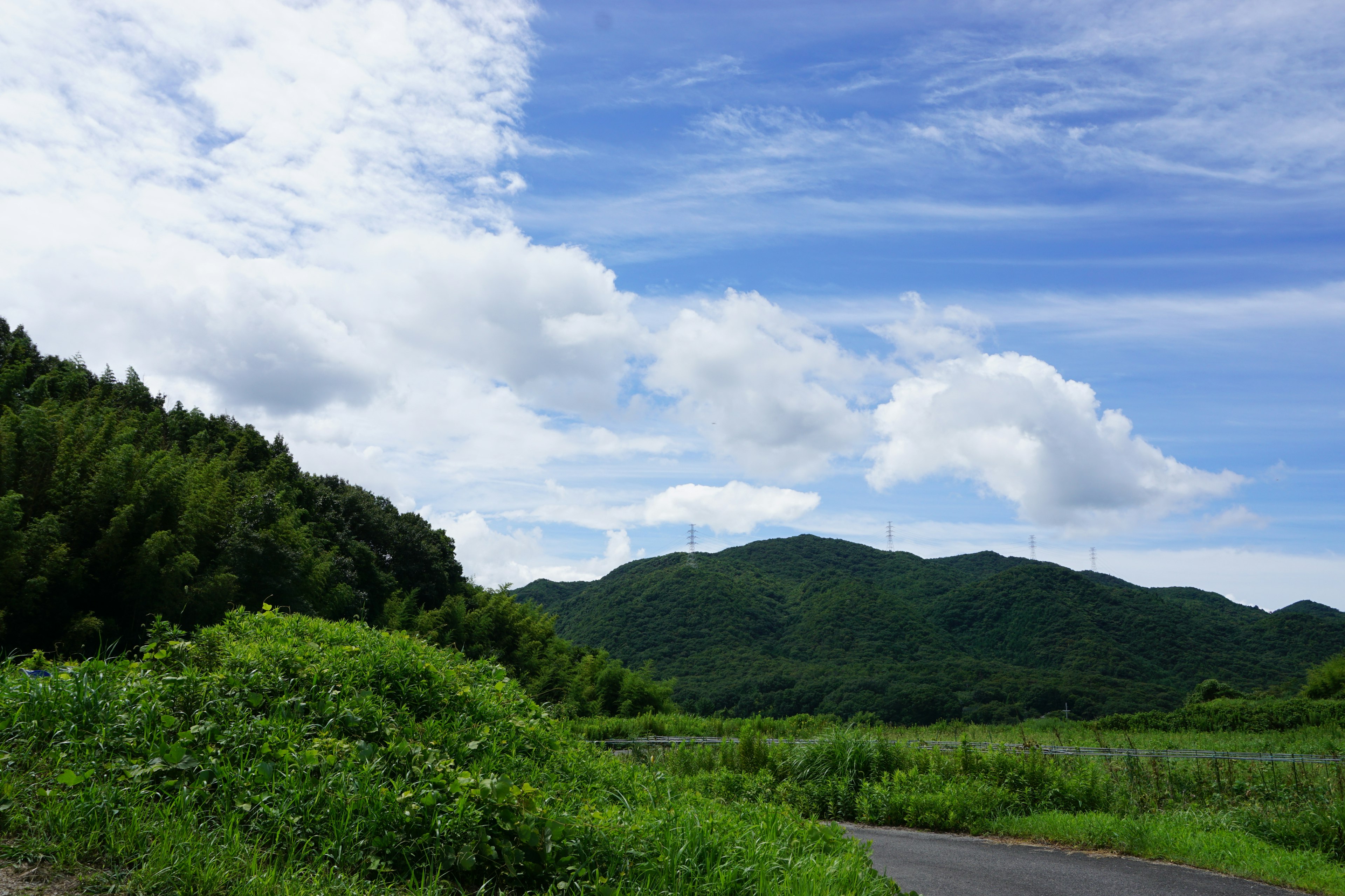 Lush green landscape with mountains under a blue sky and white clouds