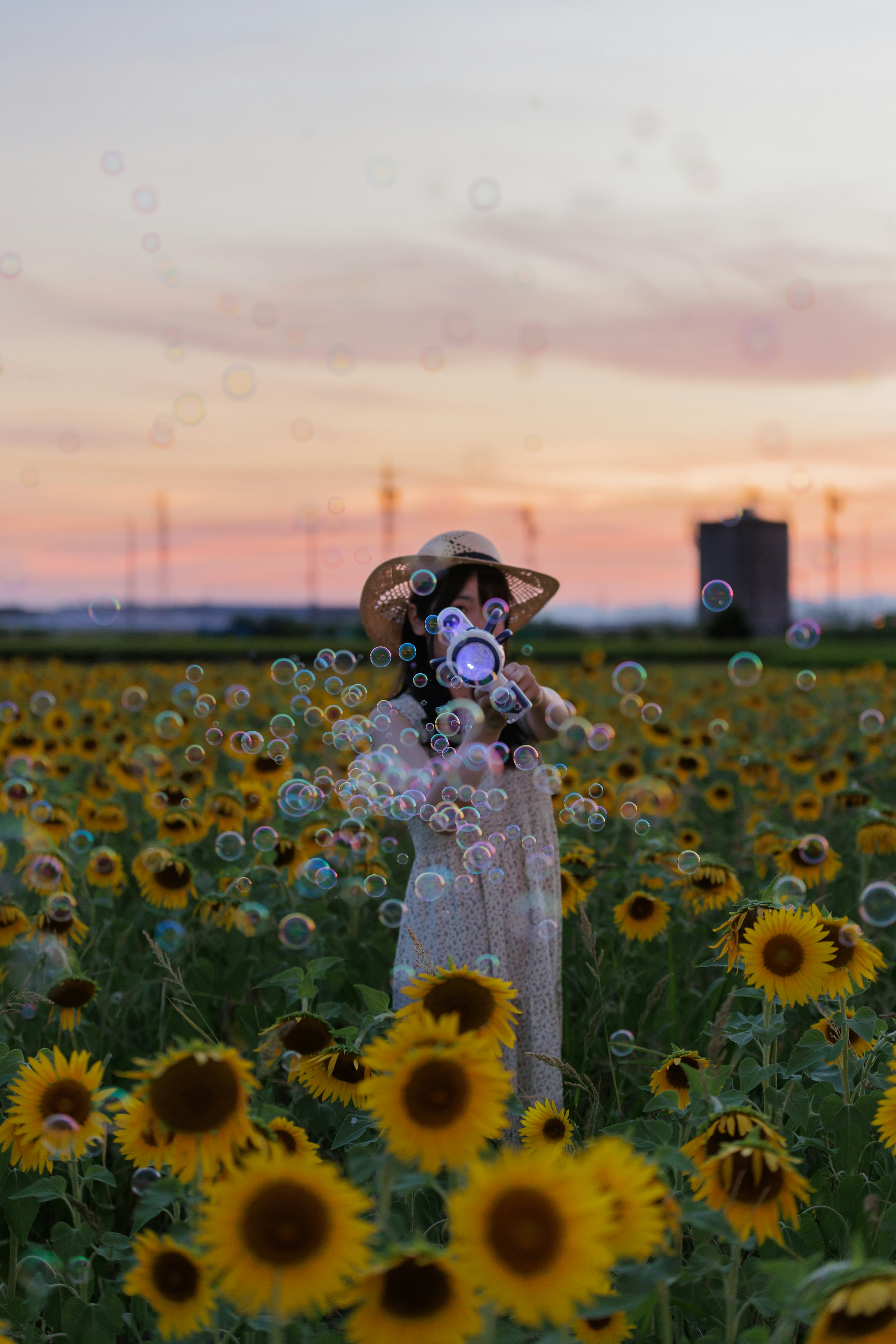 夕焼けの空の下でひまわり畑に立つ女性が、風船を持っている