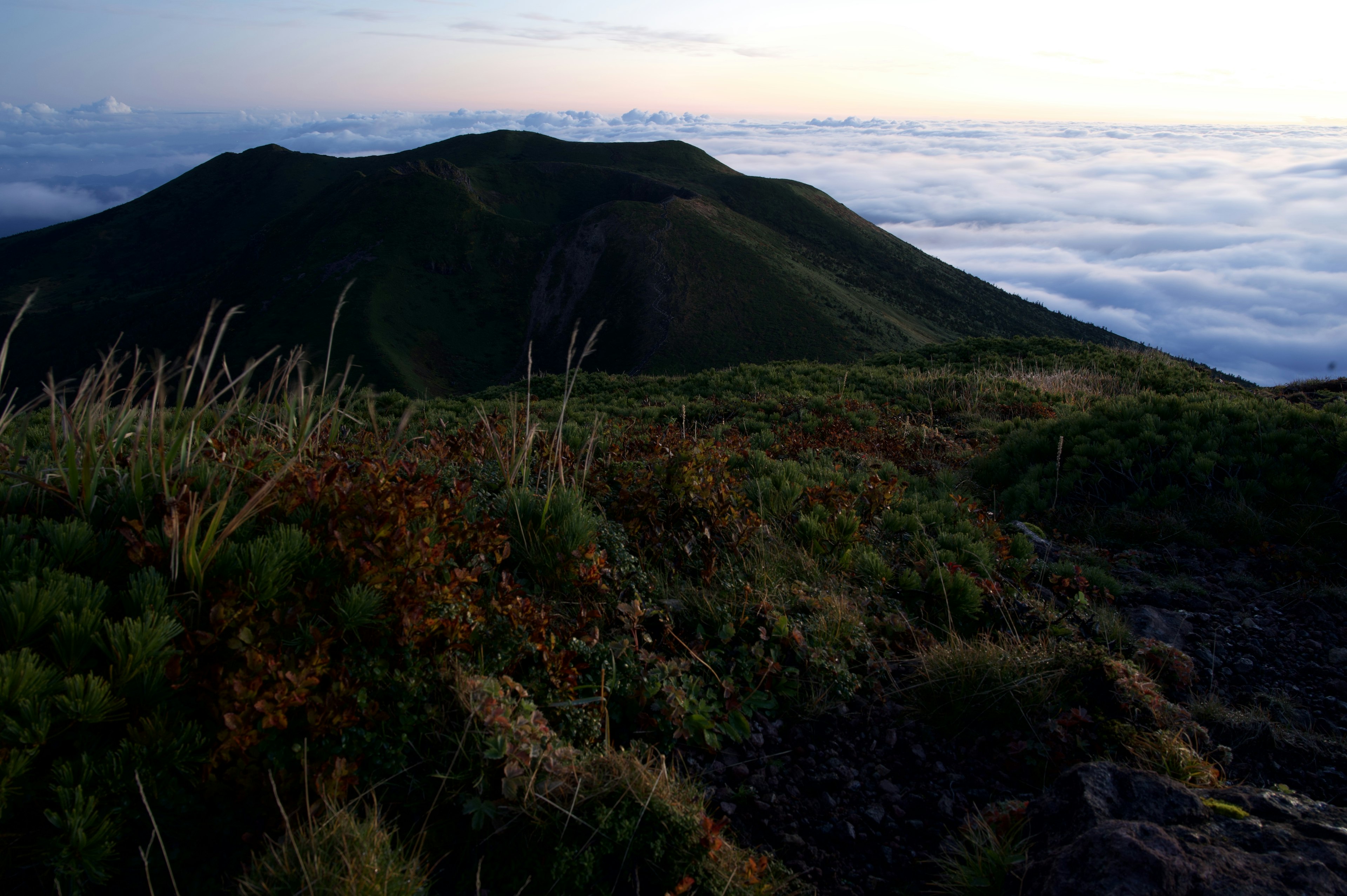 雲海の上にそびえる緑豊かな山の風景