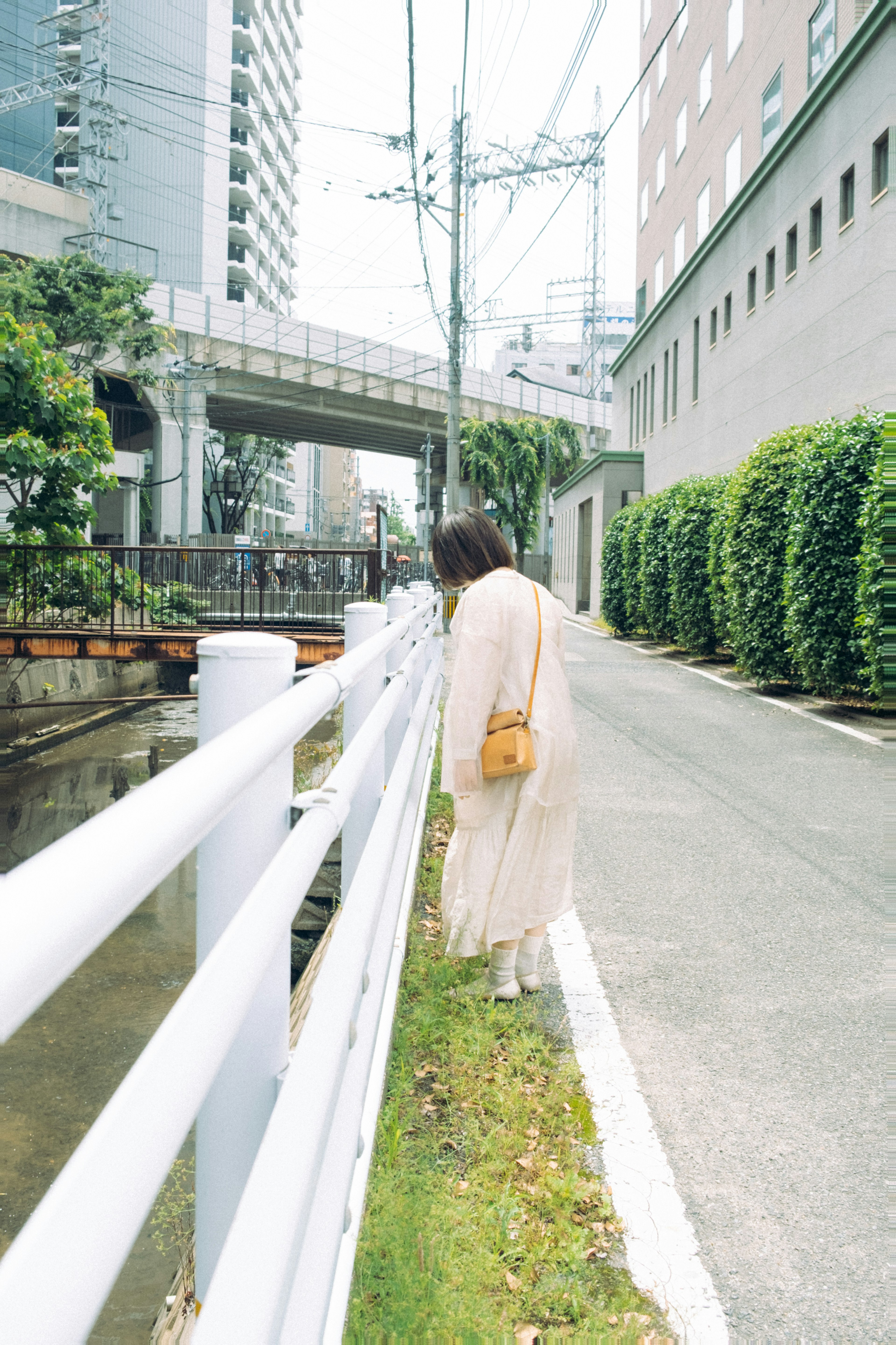 白いフェンスのそばを歩く女性の後ろ姿 都会の景色と緑の植物が共存するエリア