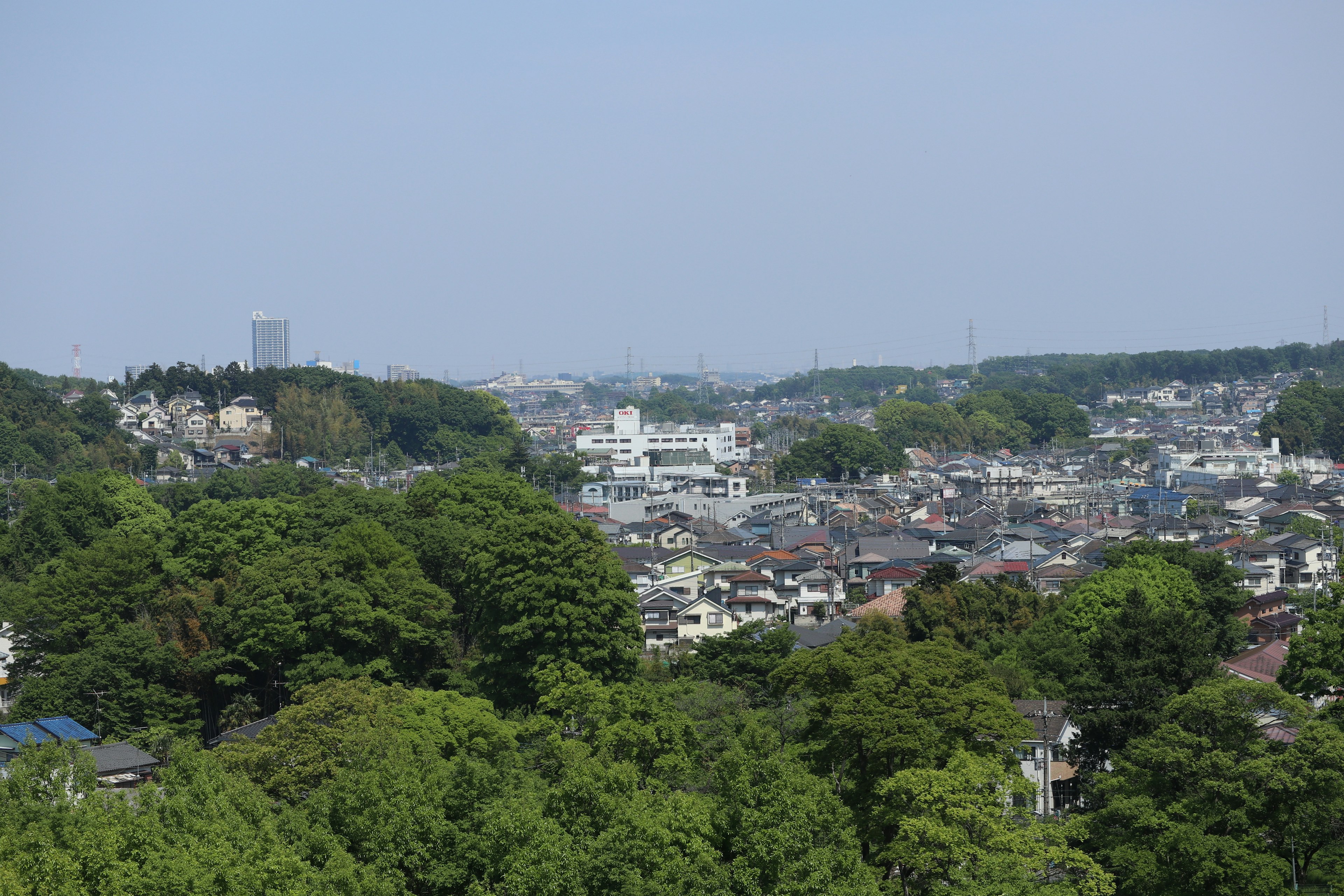 Stadtansicht mit üppigem Grün und entfernten Gebäuden unter klarem blauen Himmel