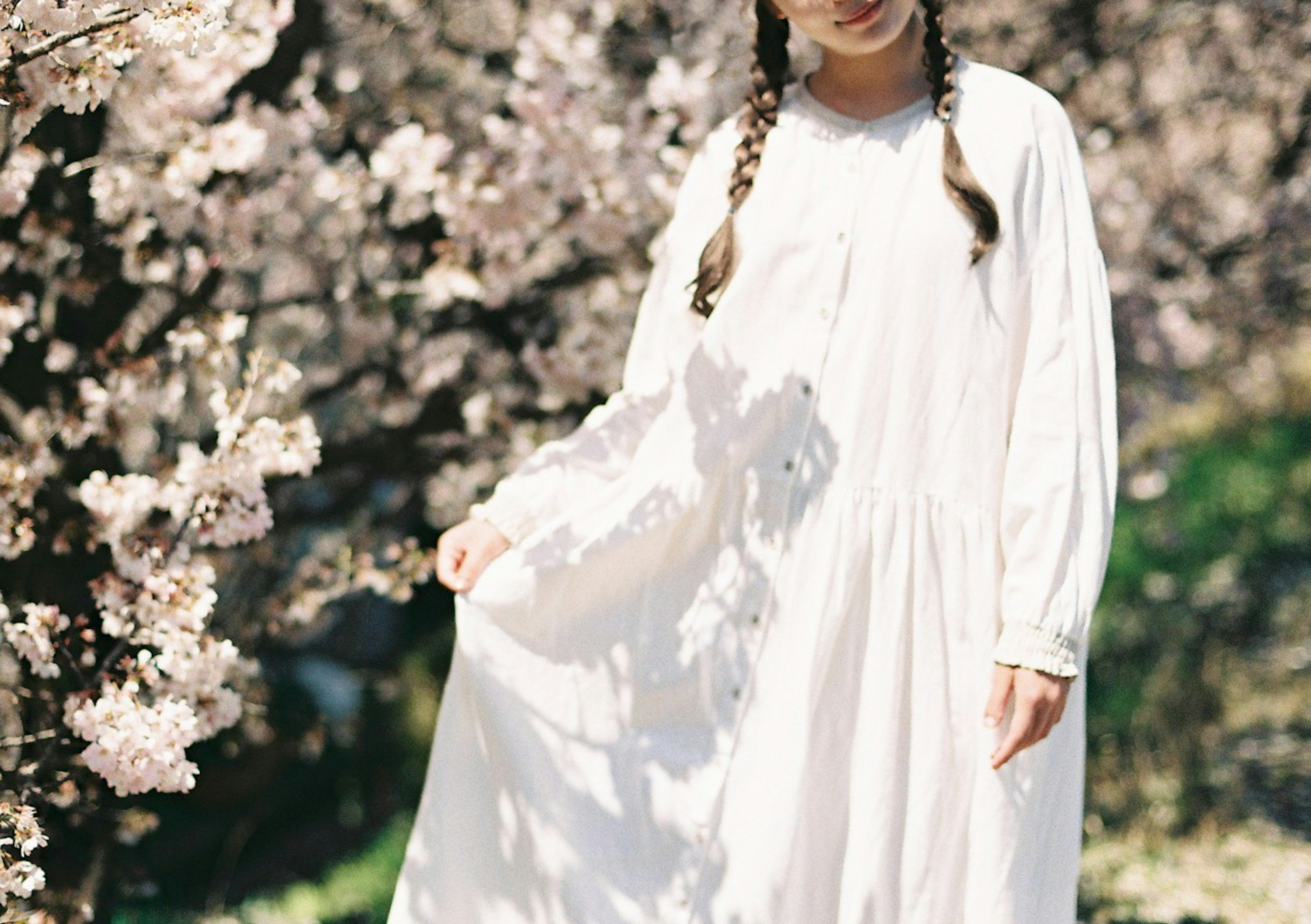 Una niña con un vestido blanco de pie frente a cerezos en flor