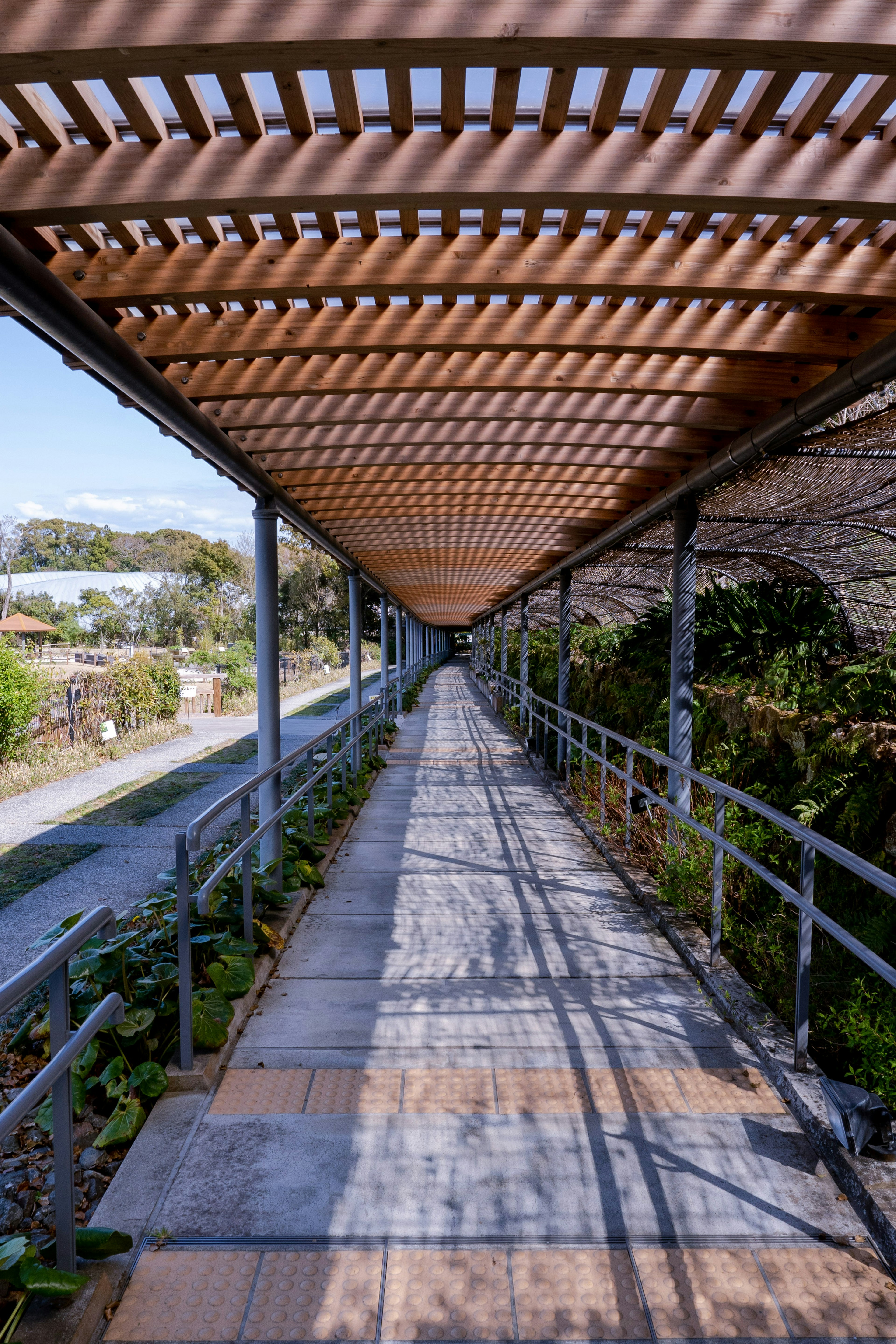 Longue passerelle avec toit en lattes de bois et verdure