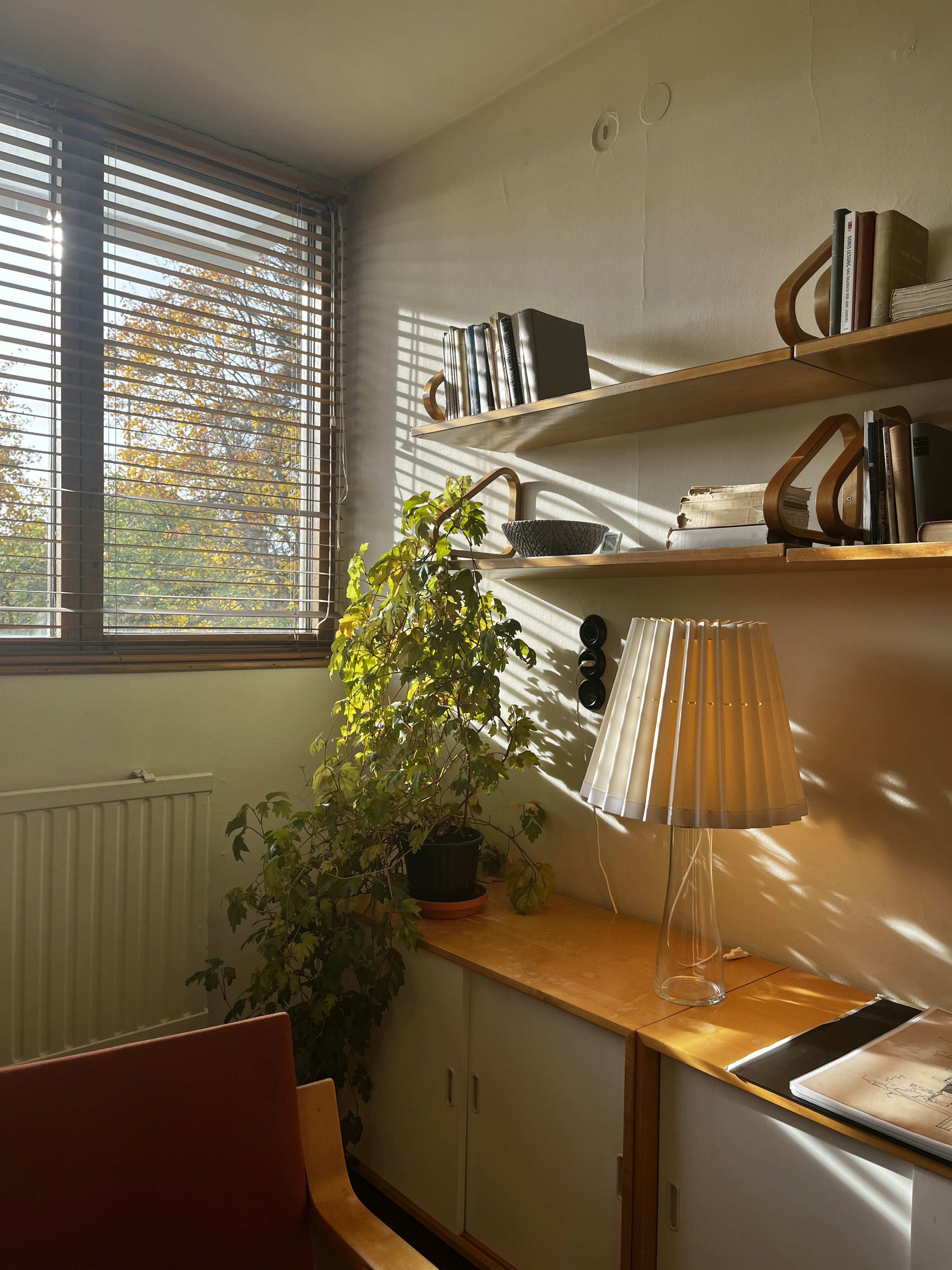 Coin confortable avec étagères livres et une plante près d'une fenêtre ensoleillée