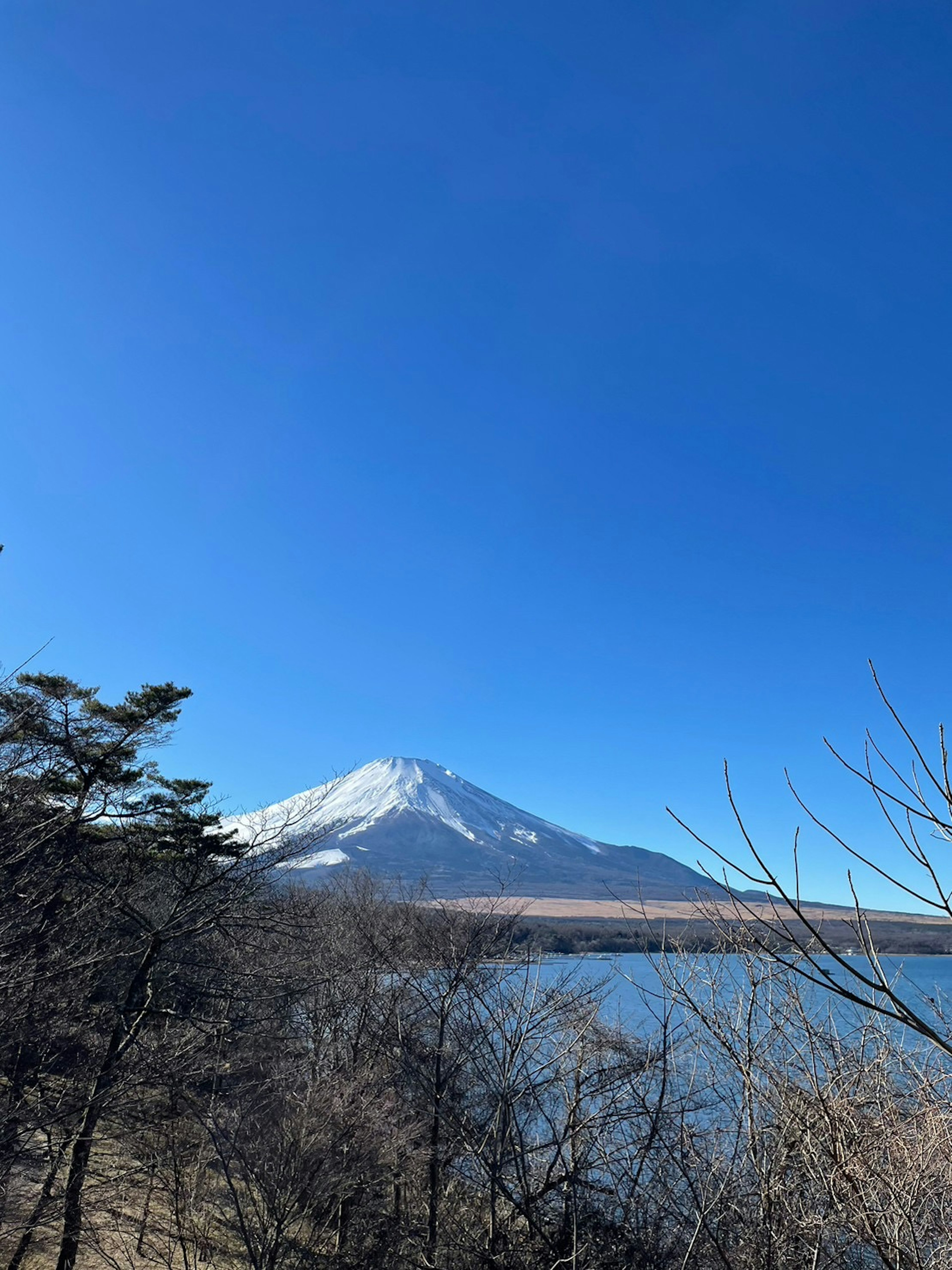 青空の下にそびえる富士山と湖の景色