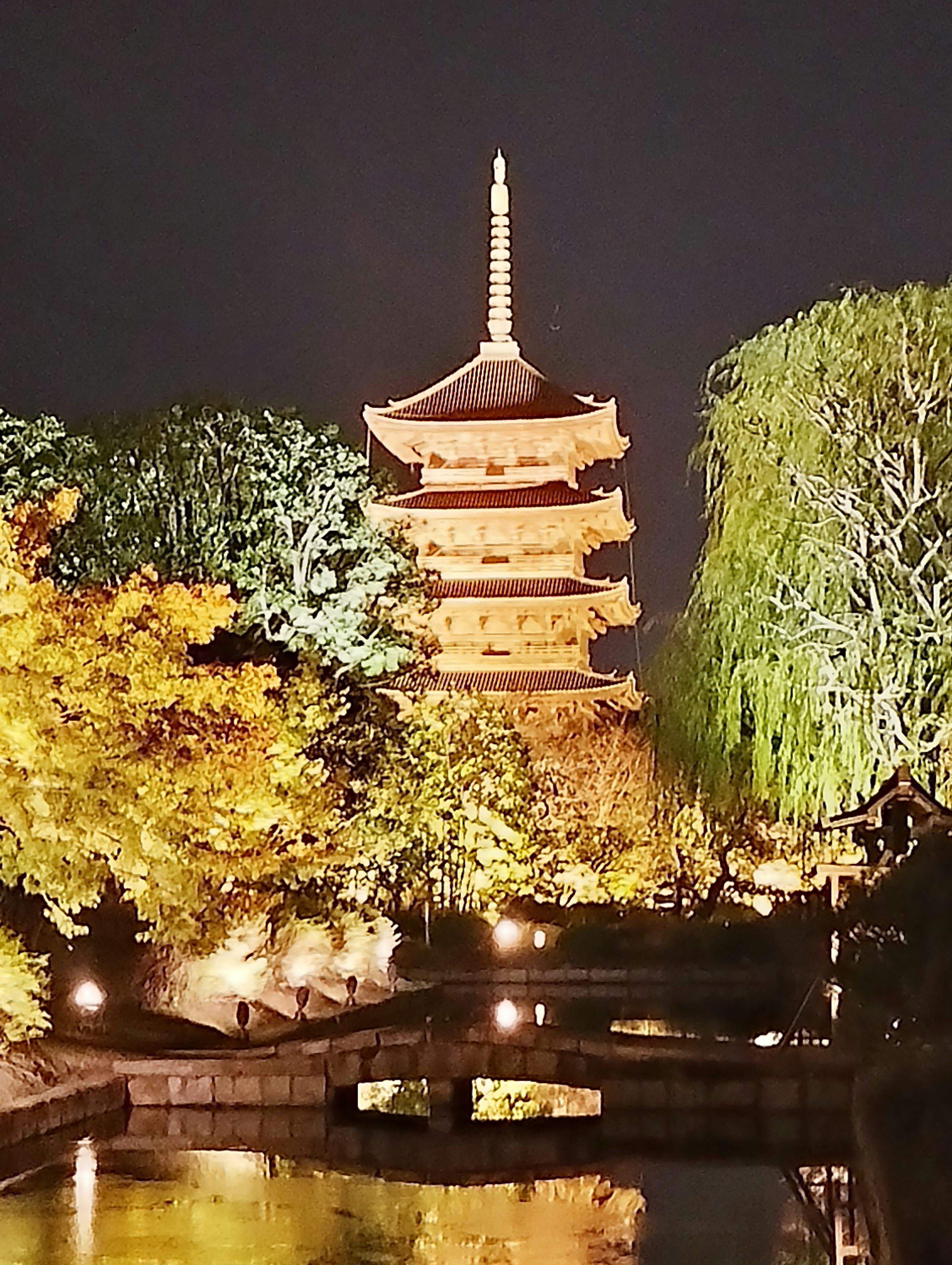 Beleuchtete Pagode bei Nacht umgeben von bunten Bäumen