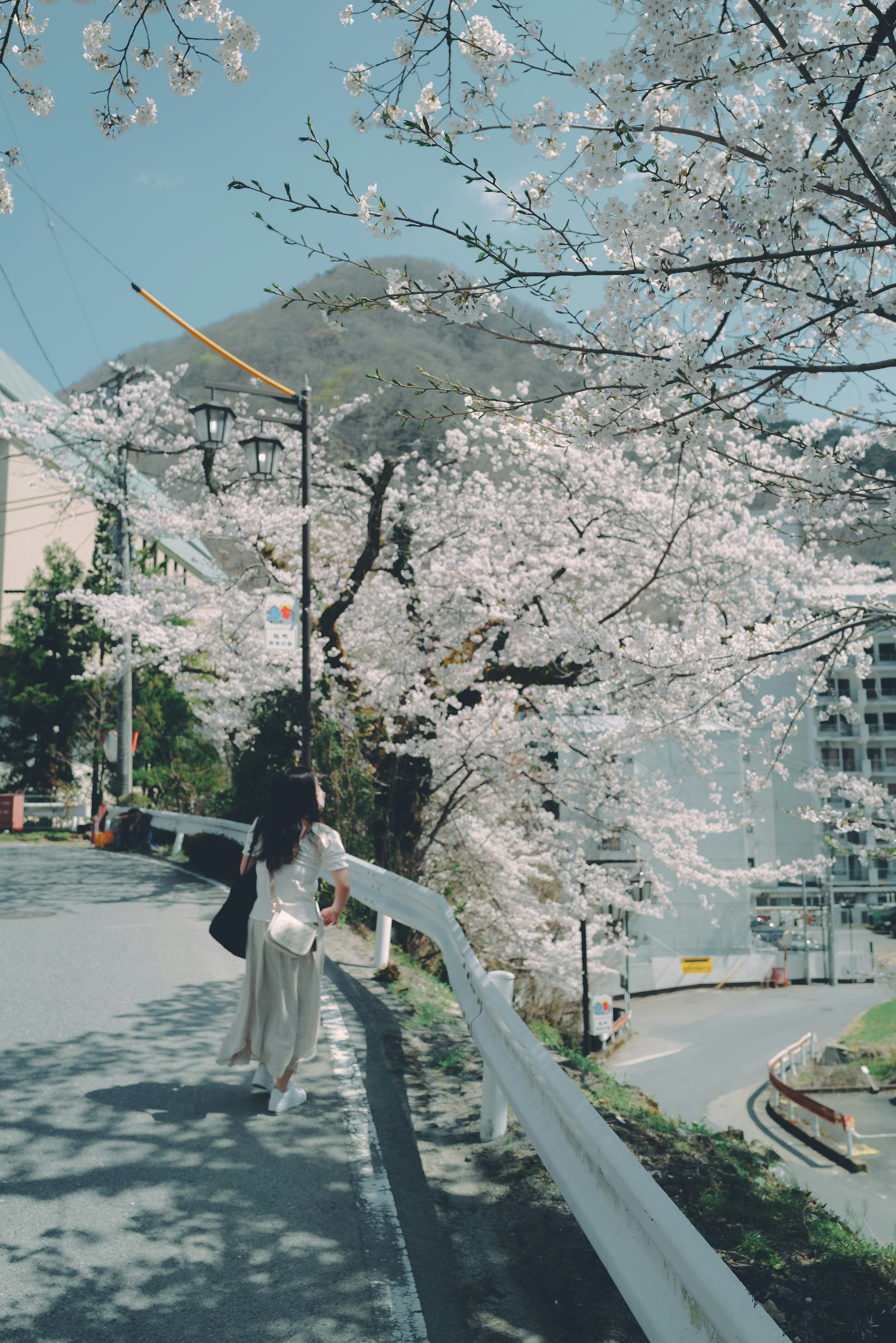 Una mujer caminando bajo árboles de cerezo en flor con un hermoso cielo azul y un paisaje urbano