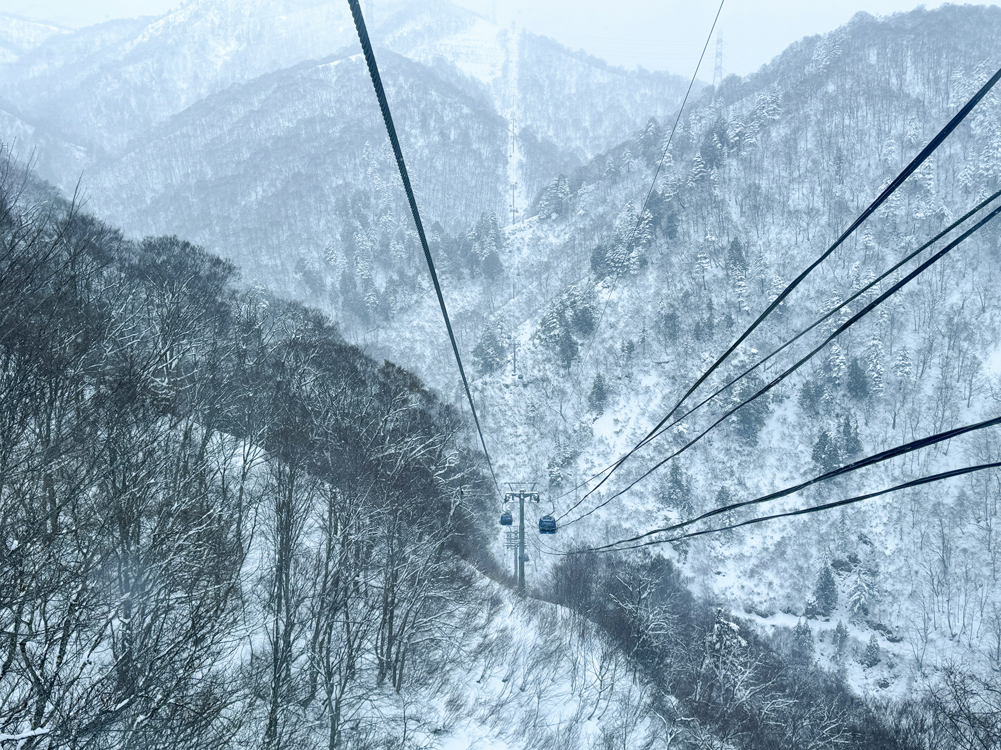 雪に覆われた山々とケーブルカーの眺め