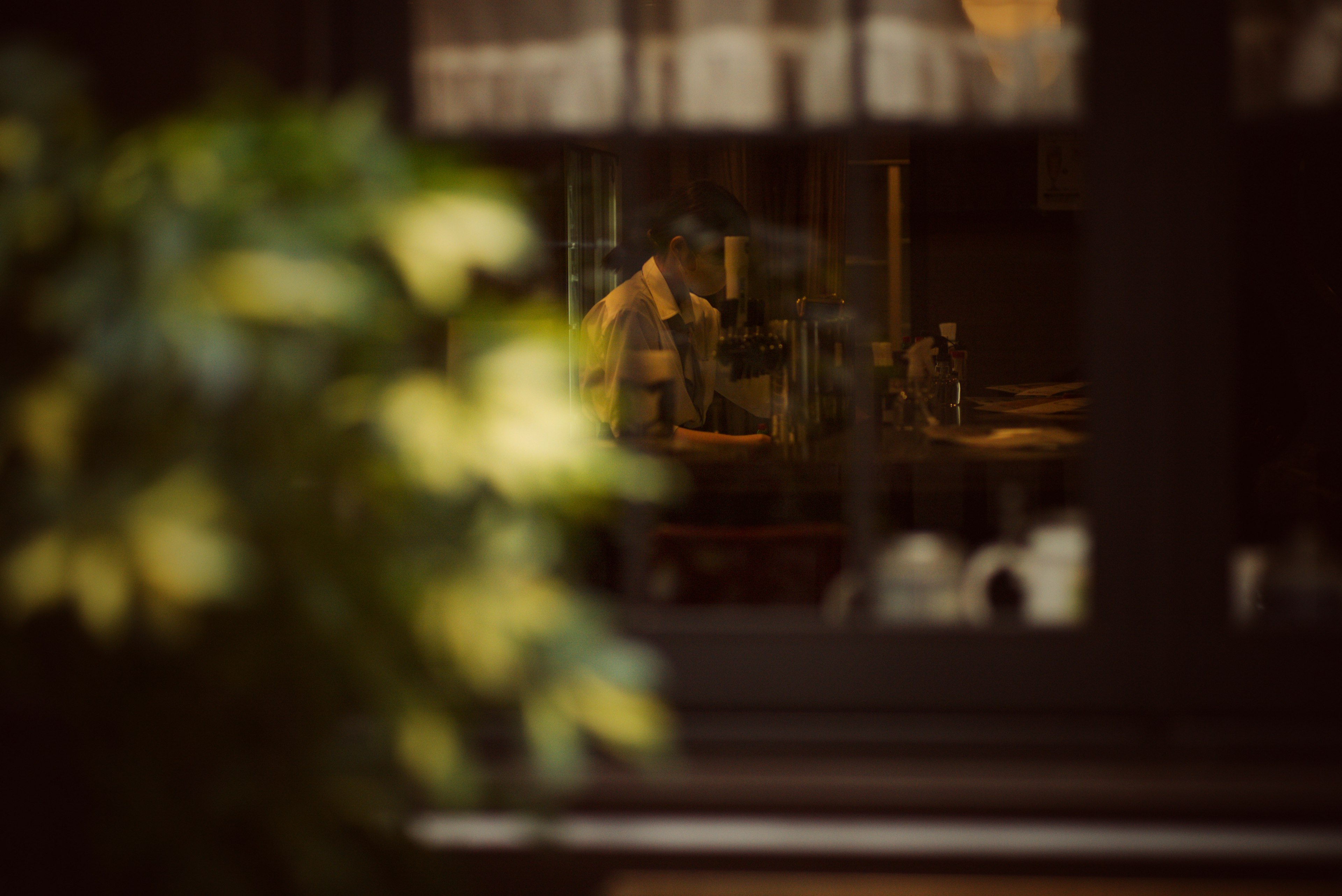 Blurred view through a window showcasing a table and indoor plants