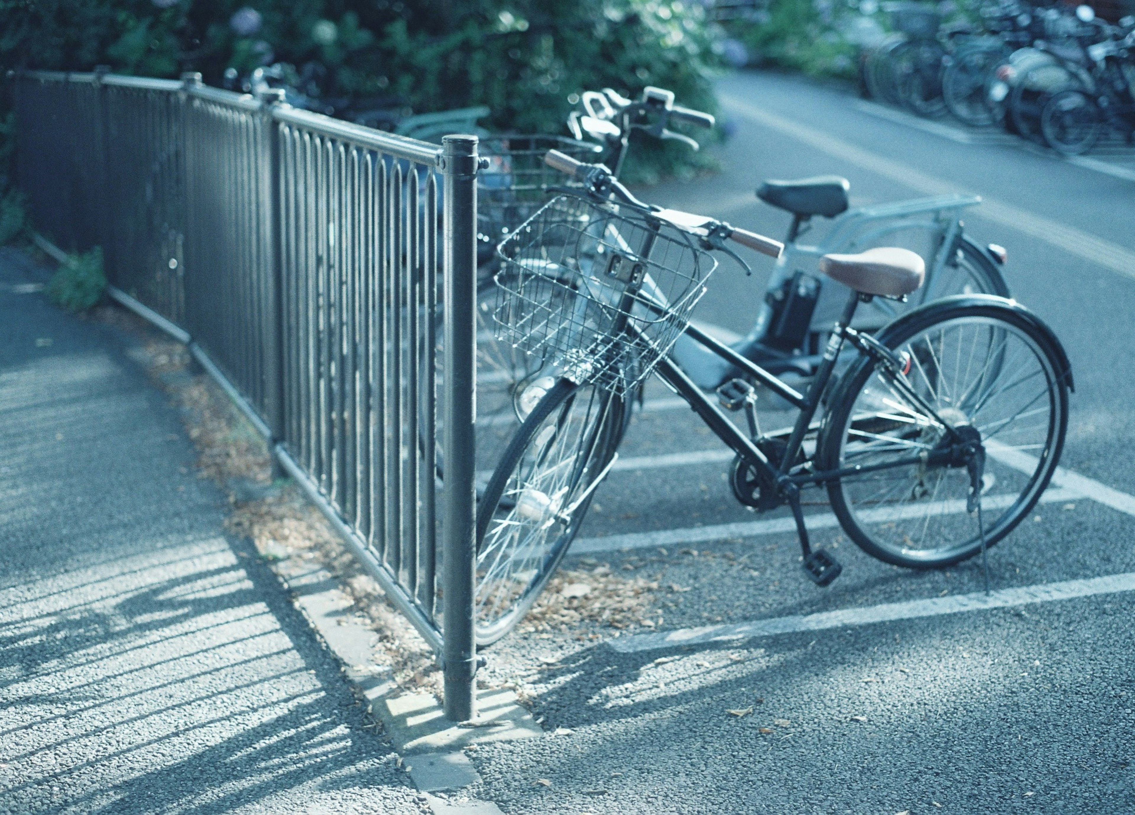 Bicycle parked near a fence with a blurred background