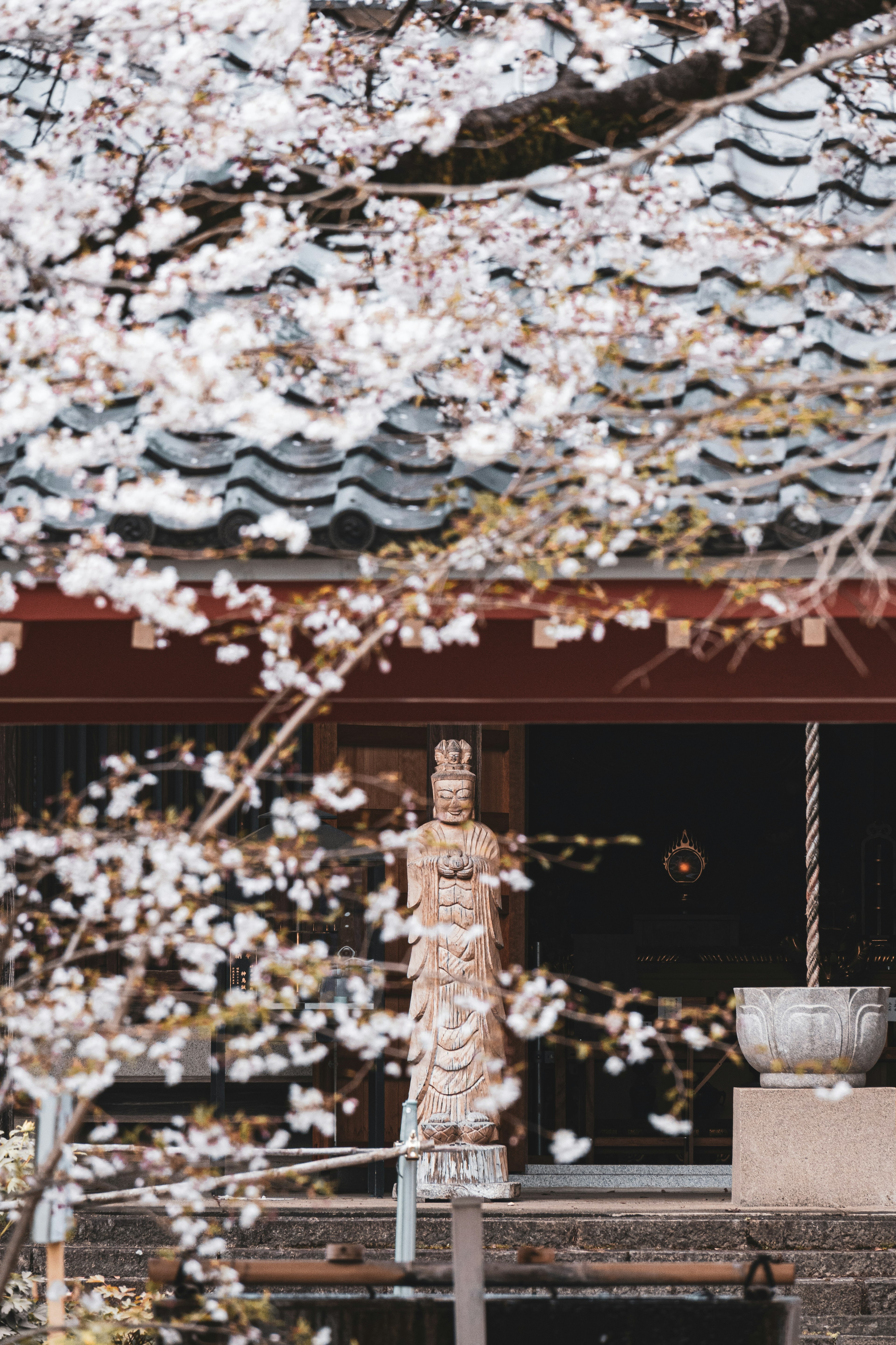 Patung di depan bangunan tradisional dengan bunga sakura