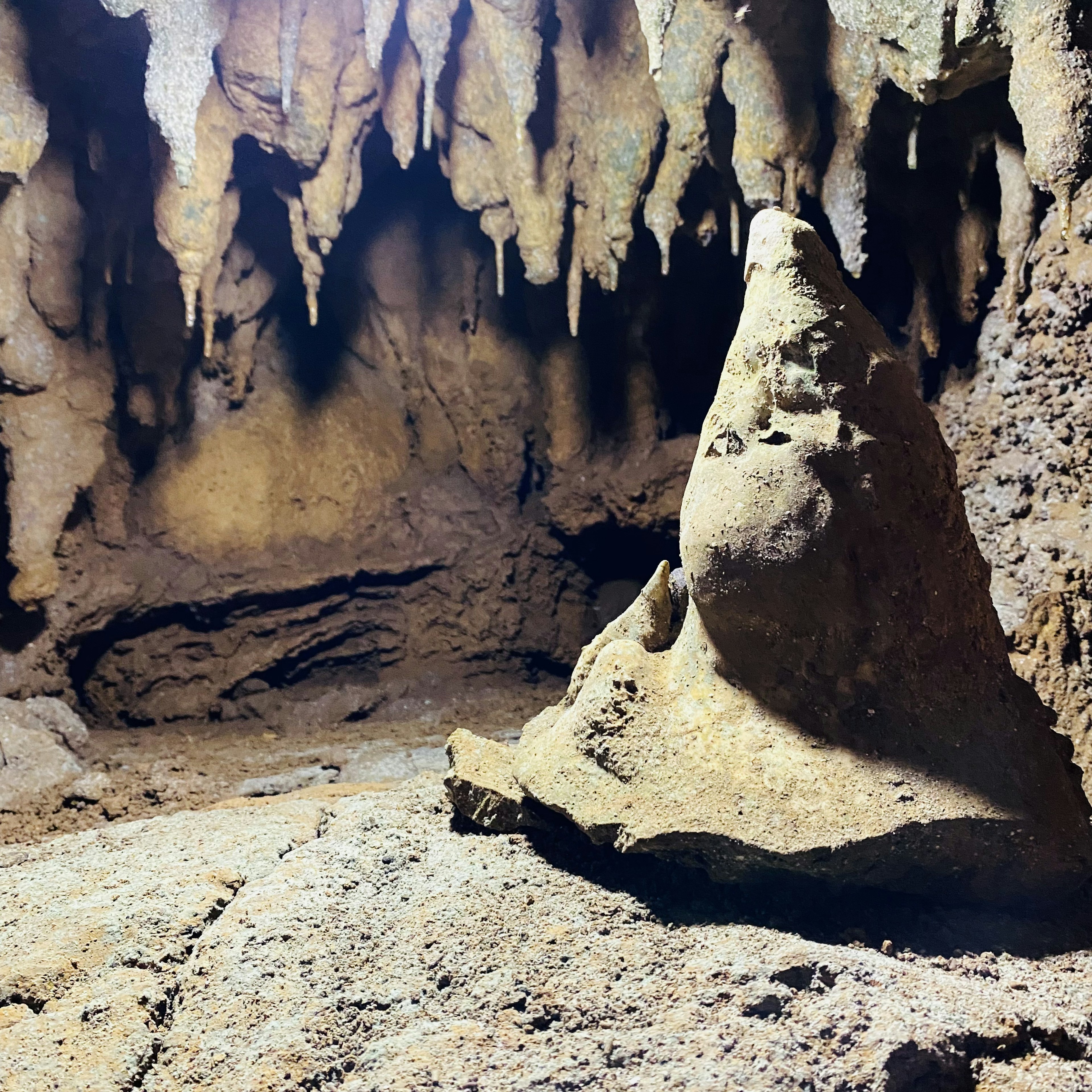 Höhleninneres mit Kalkstein-Stalagmiten und dunklen Felswänden