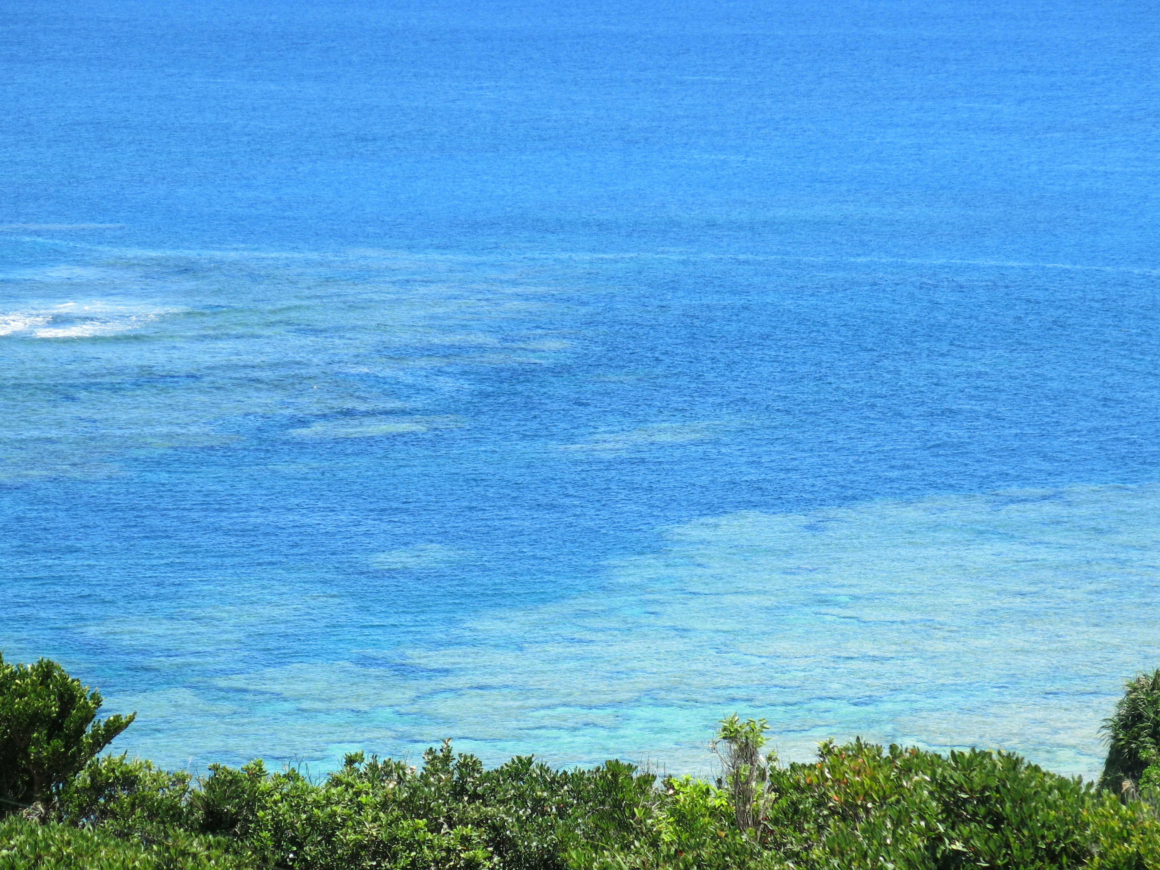 青い海と緑の植物が広がる美しい海岸の風景