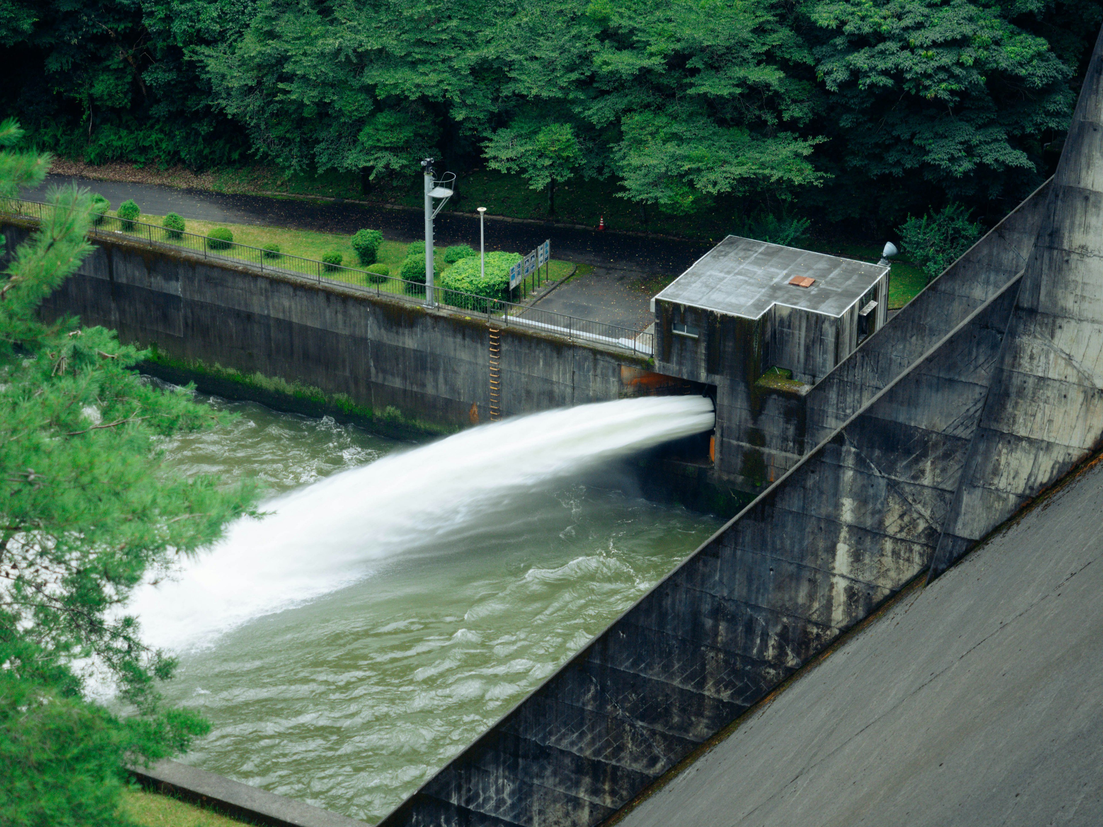 Agua fluyendo de una represa rodeada de árboles verdes