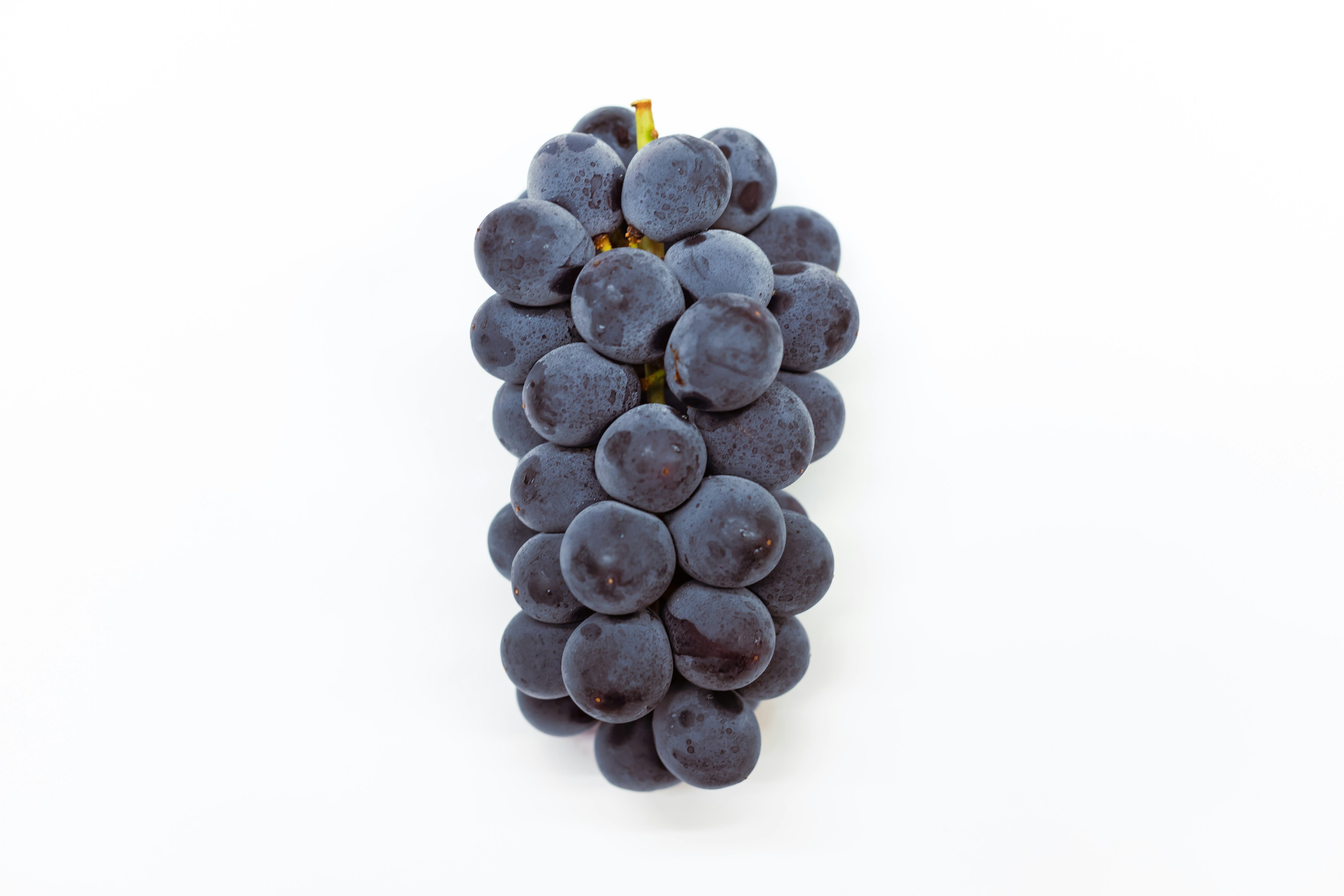 A bunch of dark purple grapes on a white background