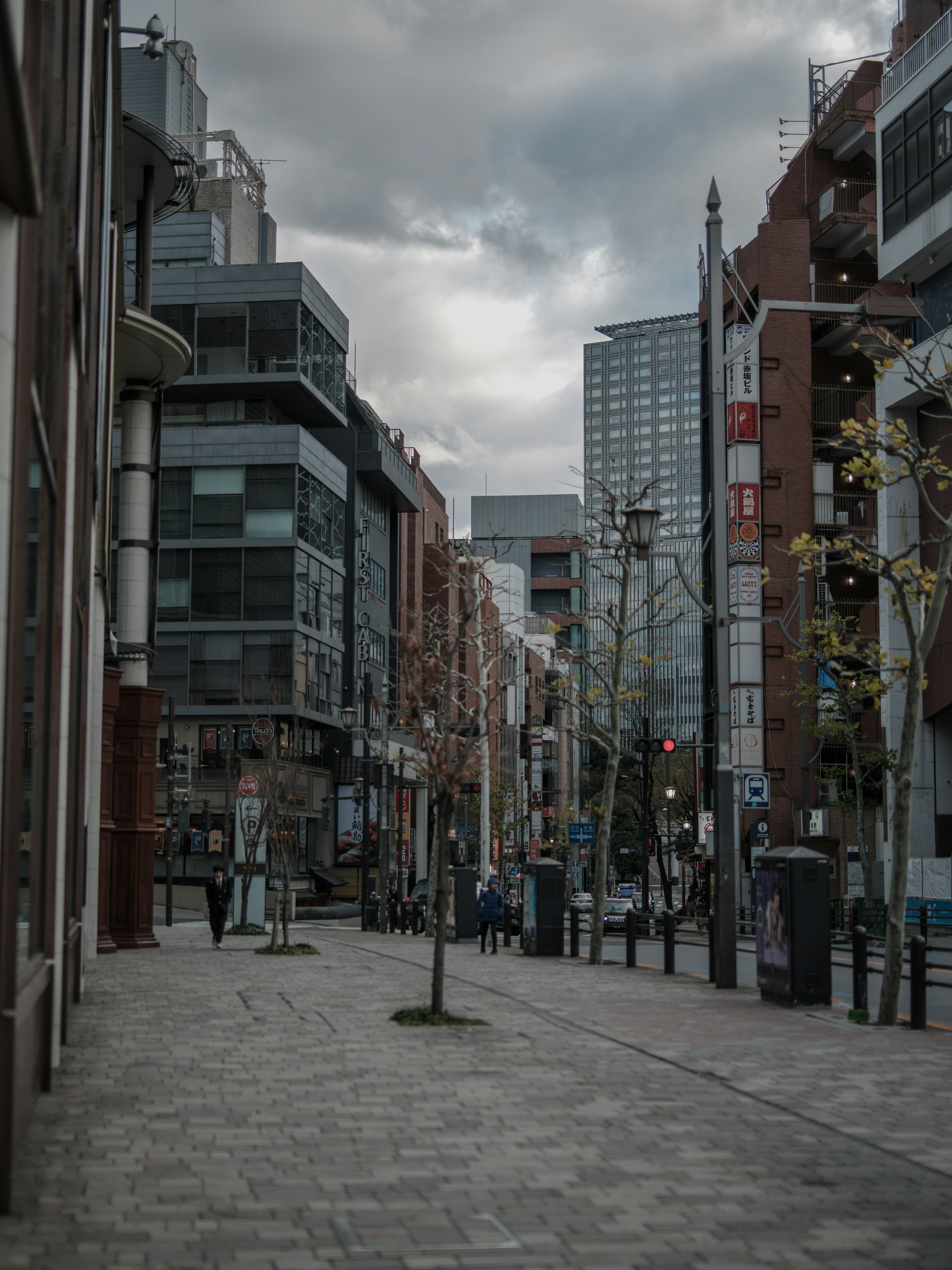 Urban street scene with modern buildings and people walking under a cloudy sky