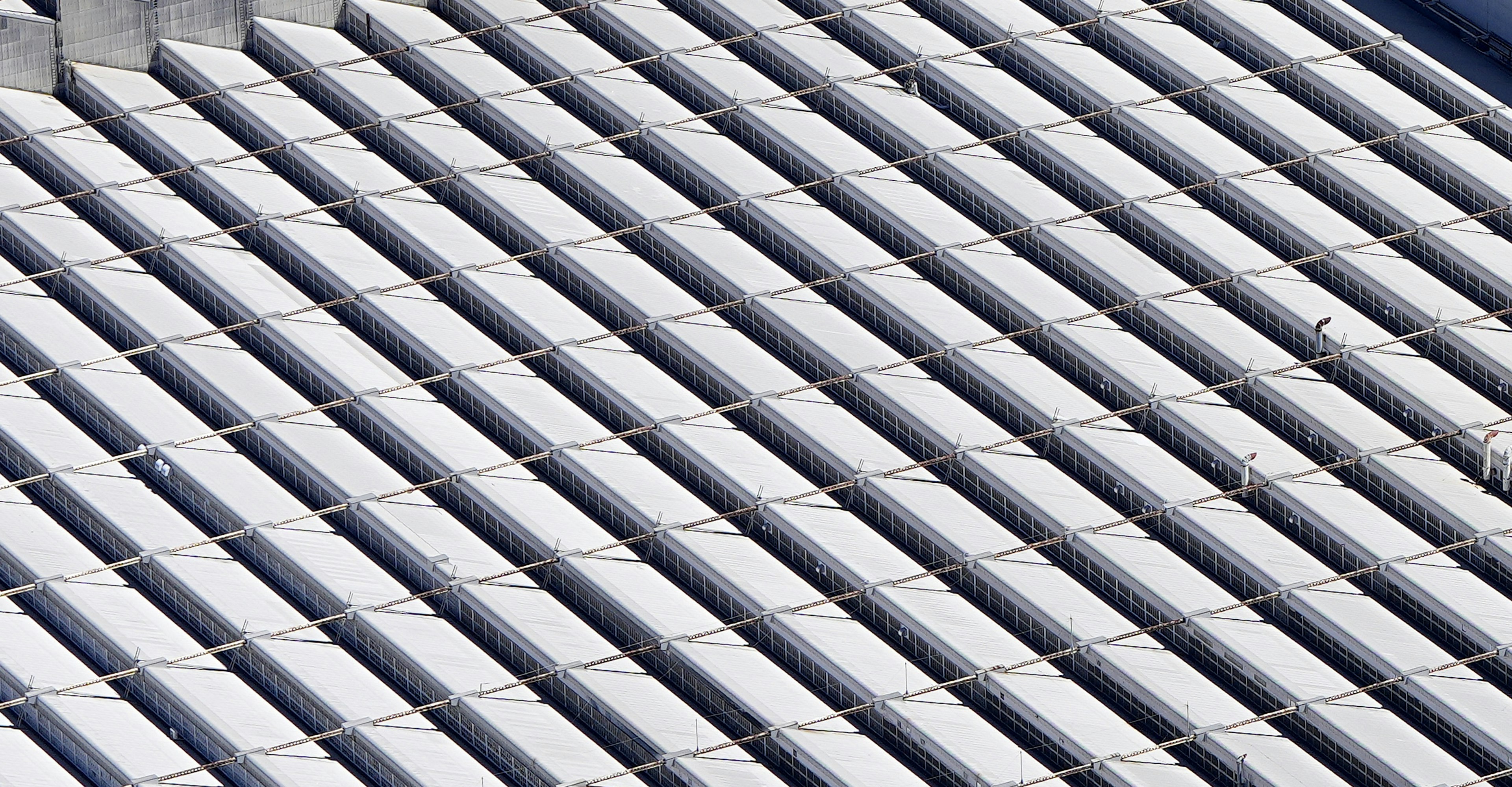 Pattern of white stripes on a roof structure