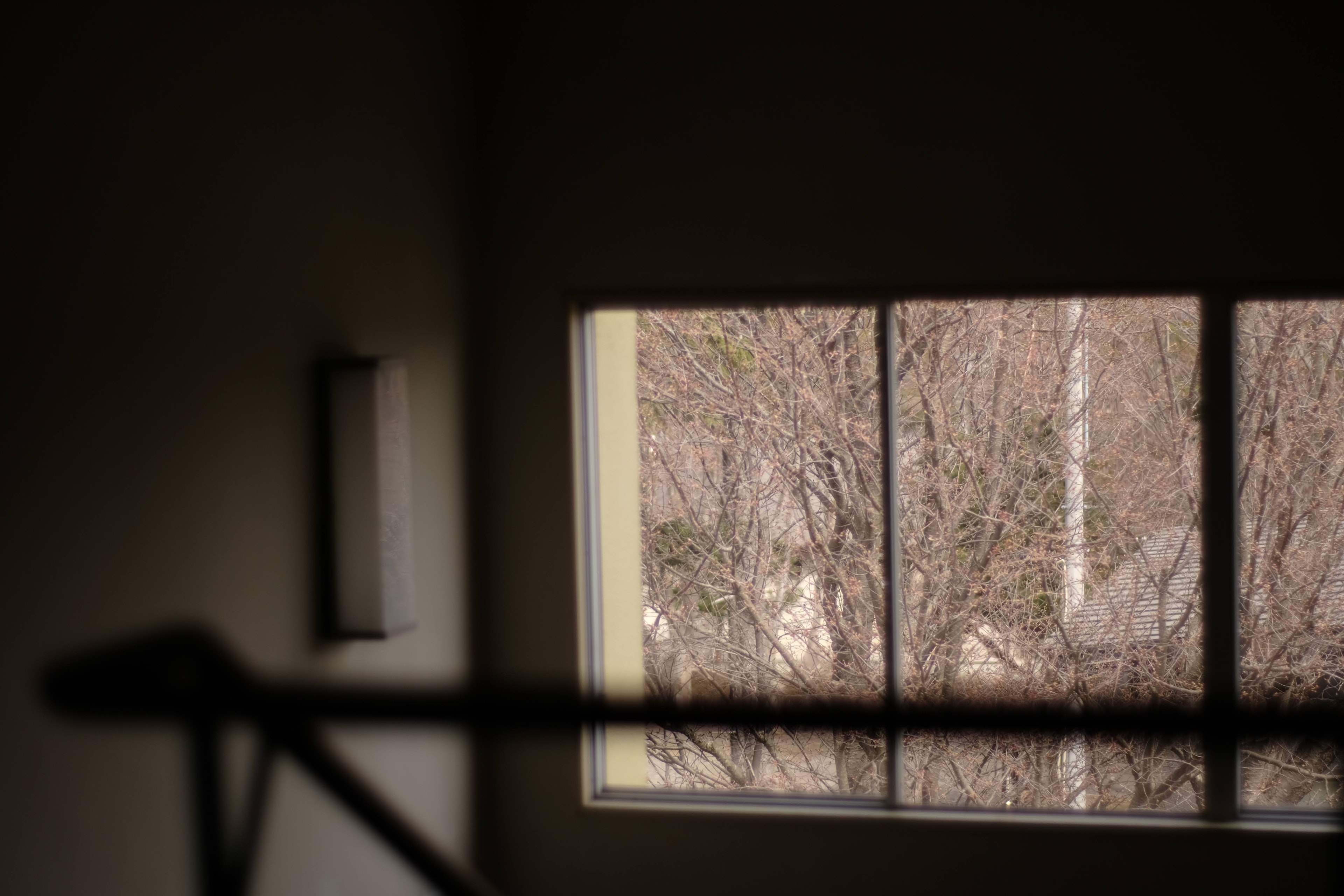 Dimly lit interior with a window showing tree silhouettes