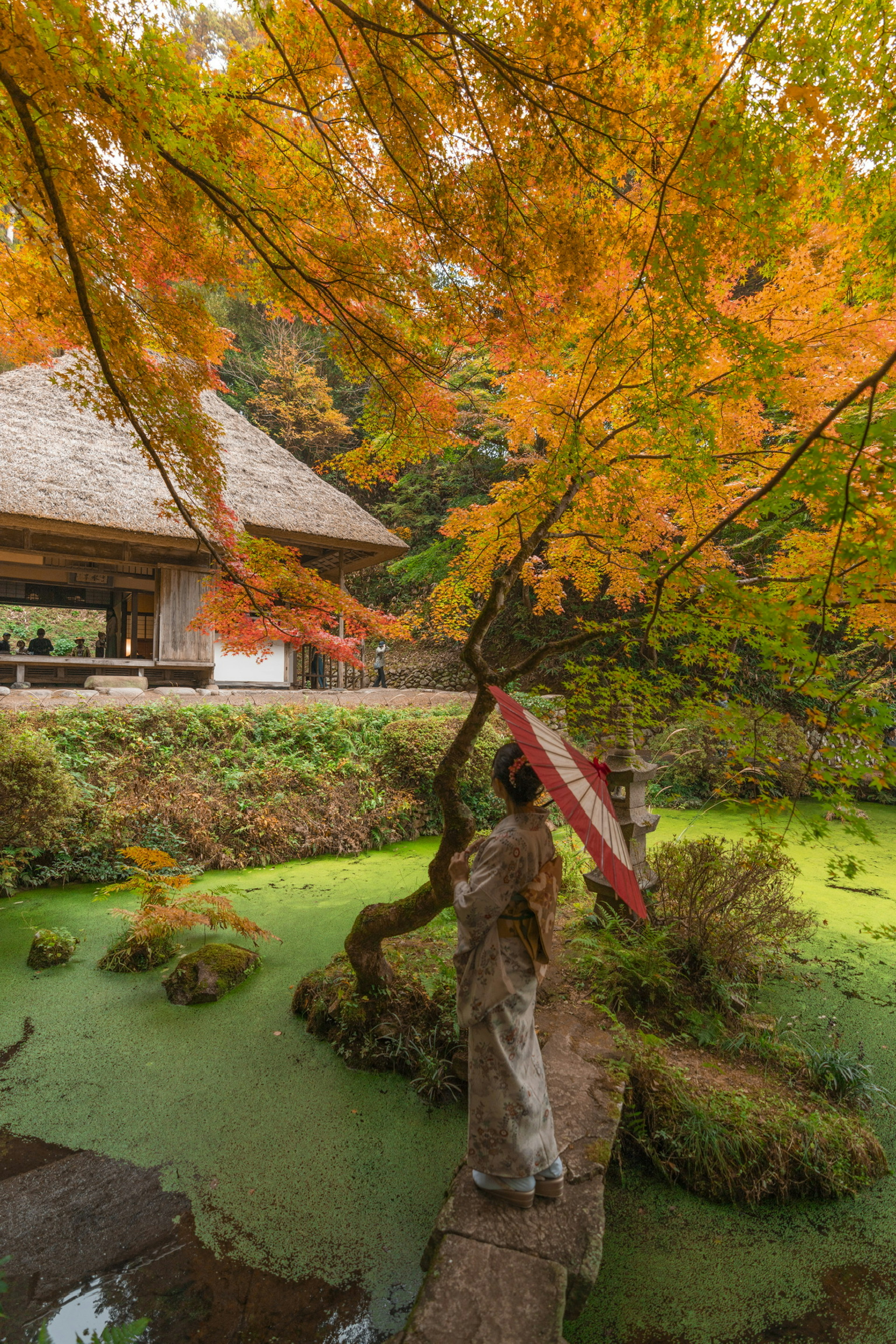 Woman in kimono holding a traditional umbrella amidst vibrant autumn foliage