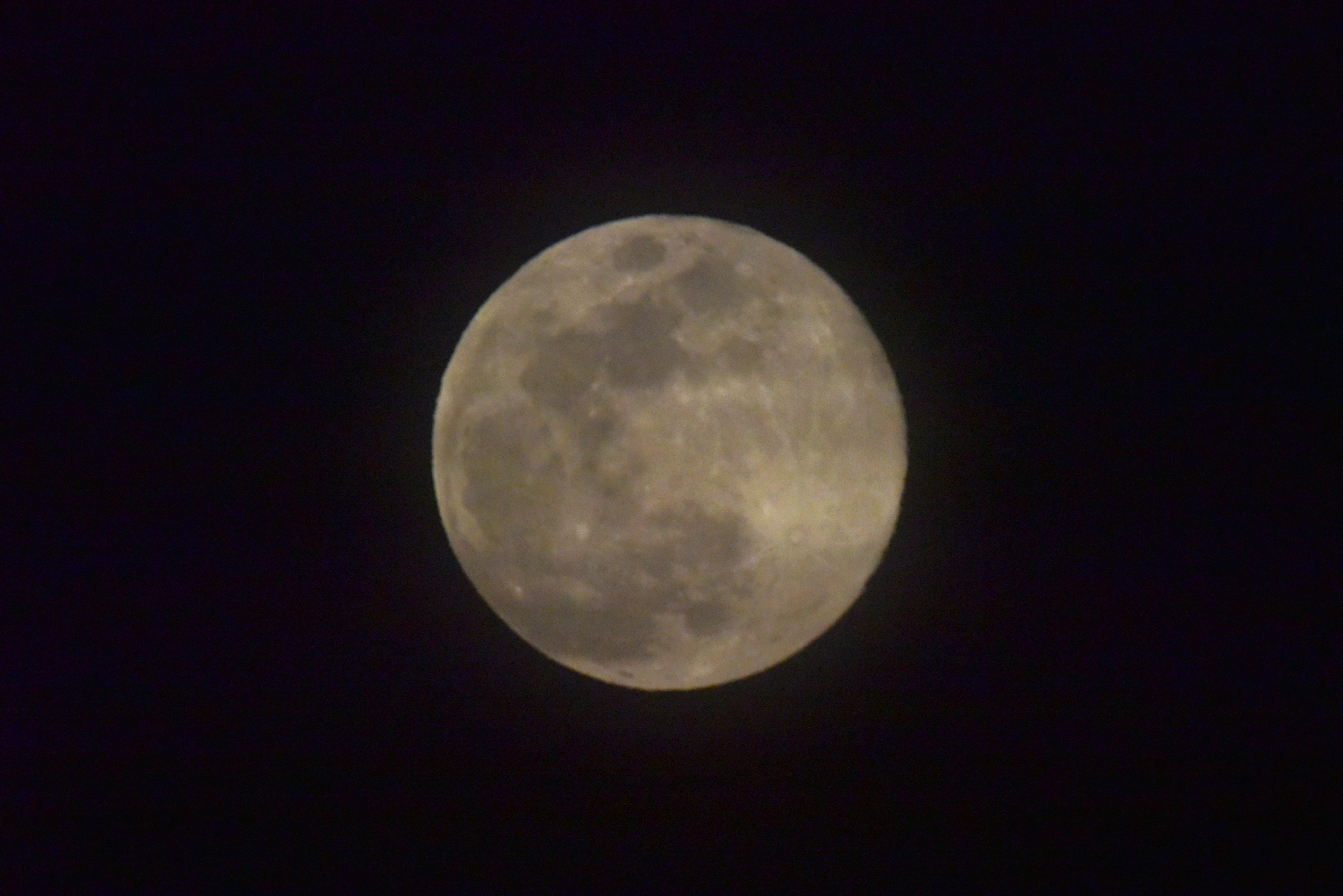 Close-up bulan purnama menunjukkan detail permukaan dan kawah