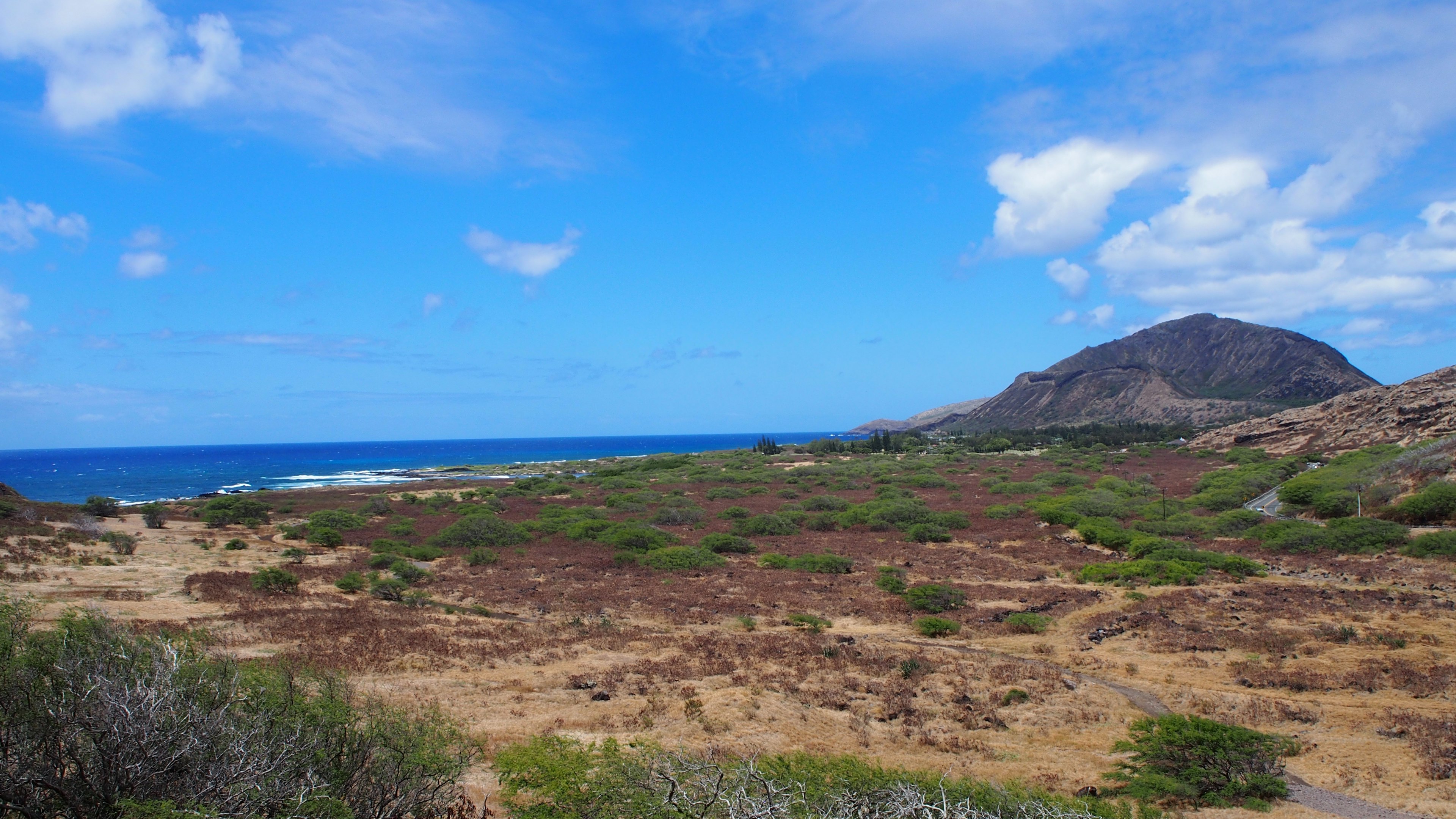 Weite Graslandschaft und Berg unter blauem Himmel und Ozean