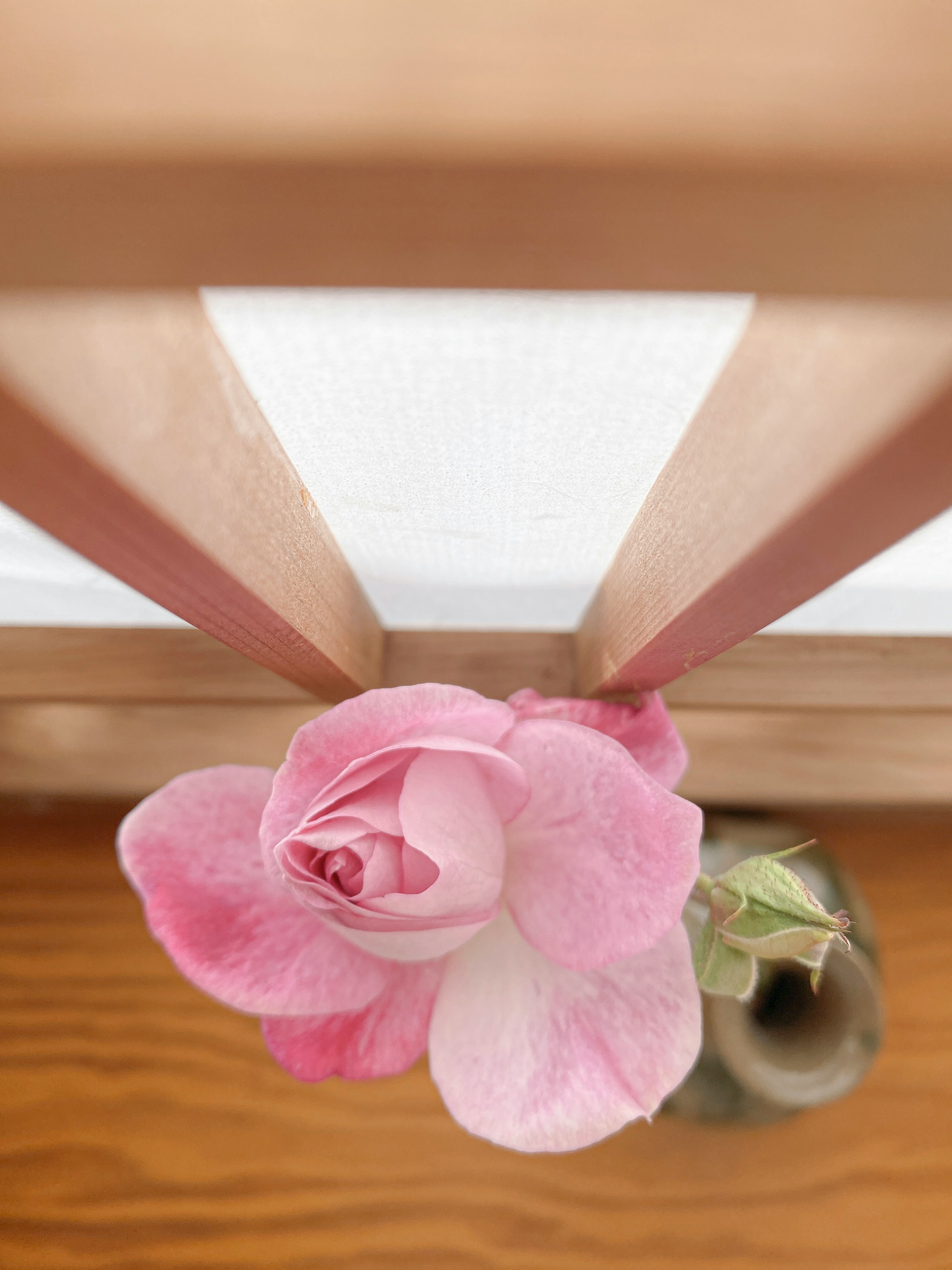 Pink rose flower visible through wooden frame