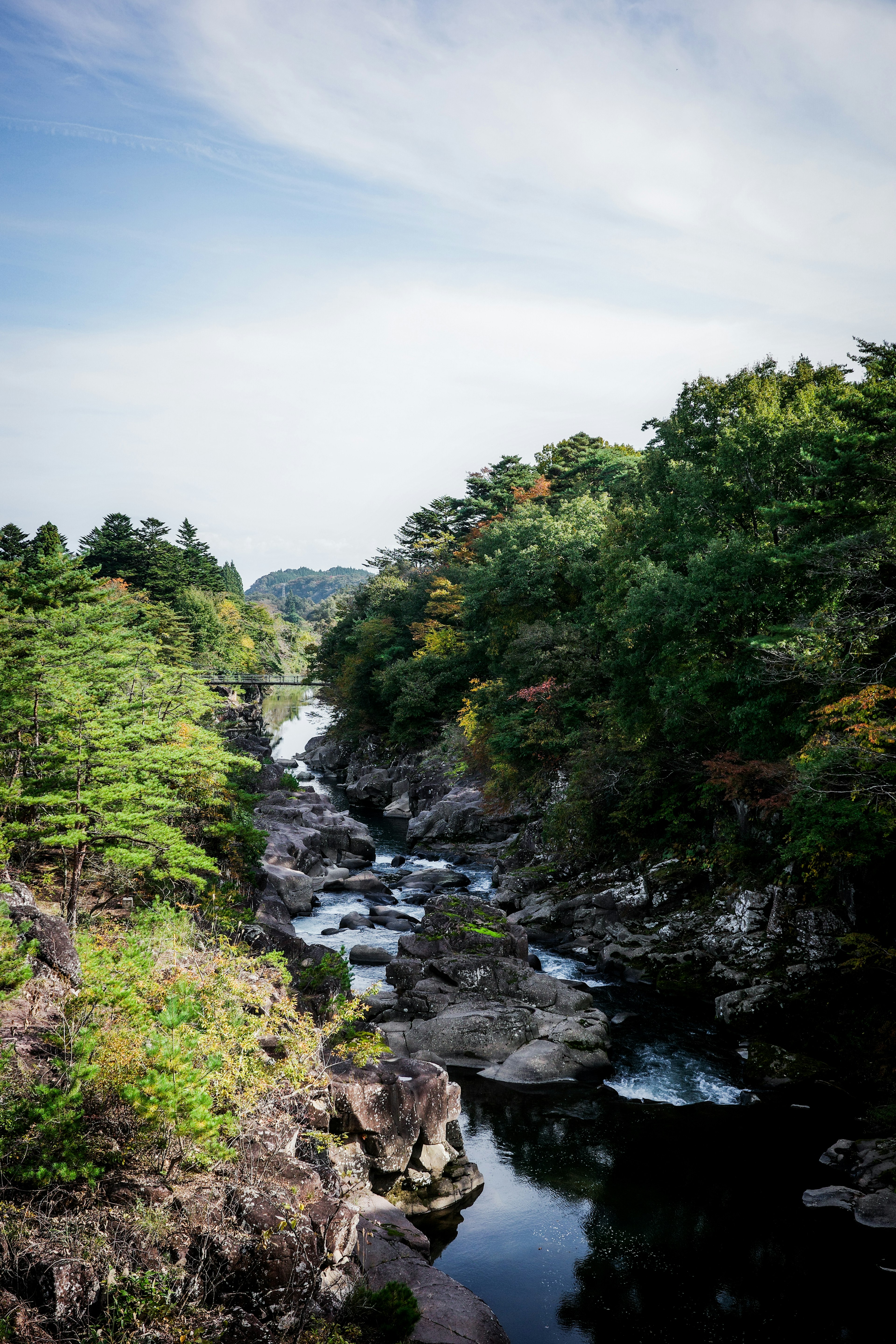 緑豊かな森林に囲まれた静かな川の風景