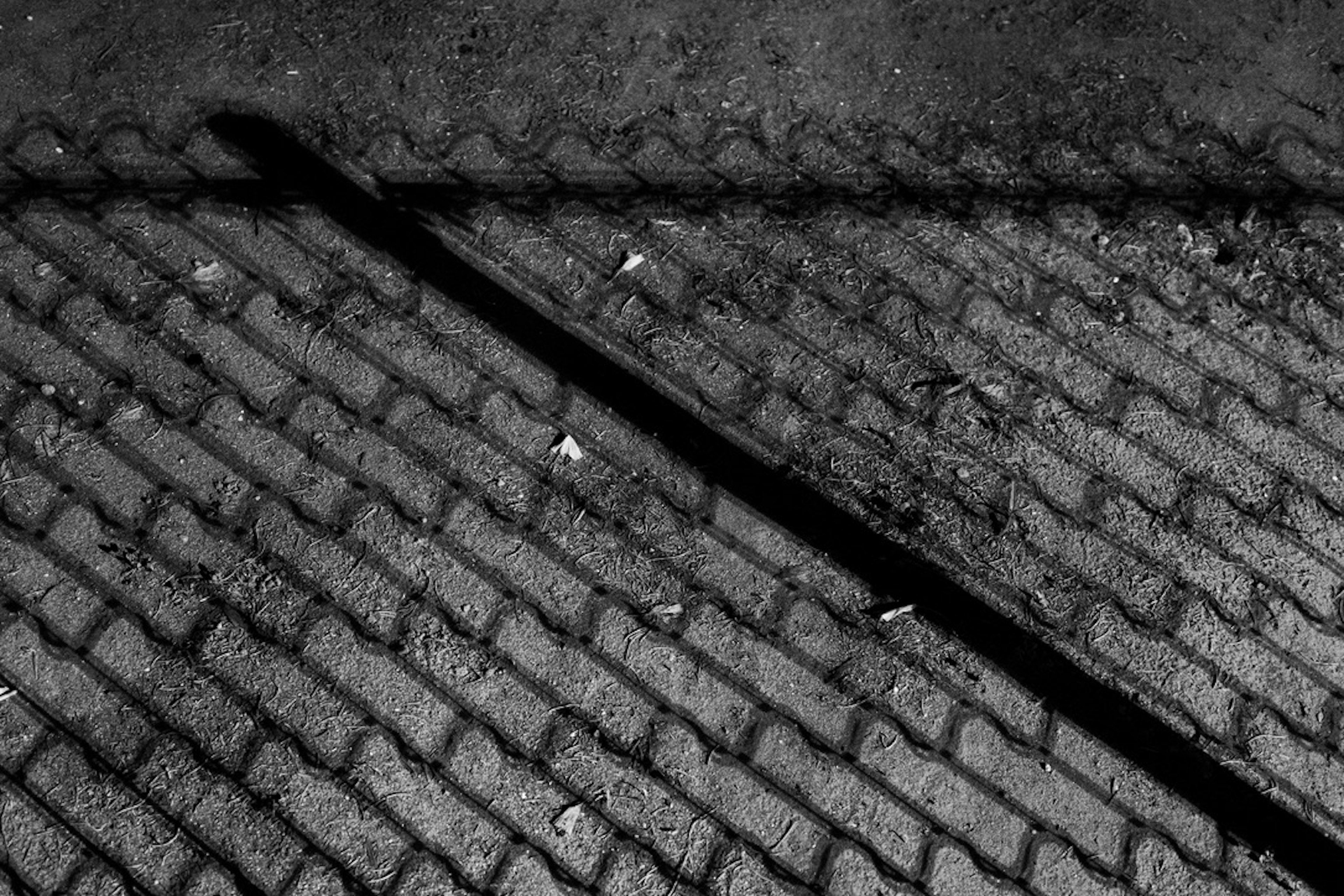 Shadow of a long object on patterned cobblestones