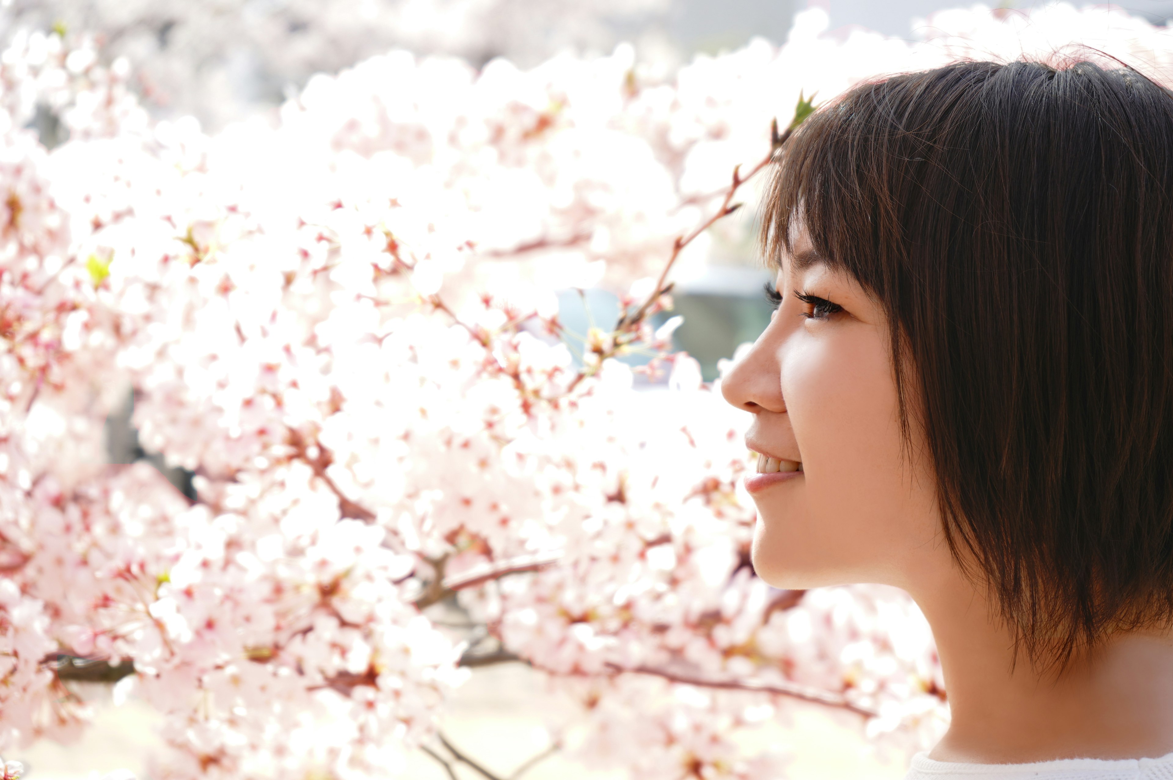 Profil d'une femme souriante devant des cerisiers en fleurs