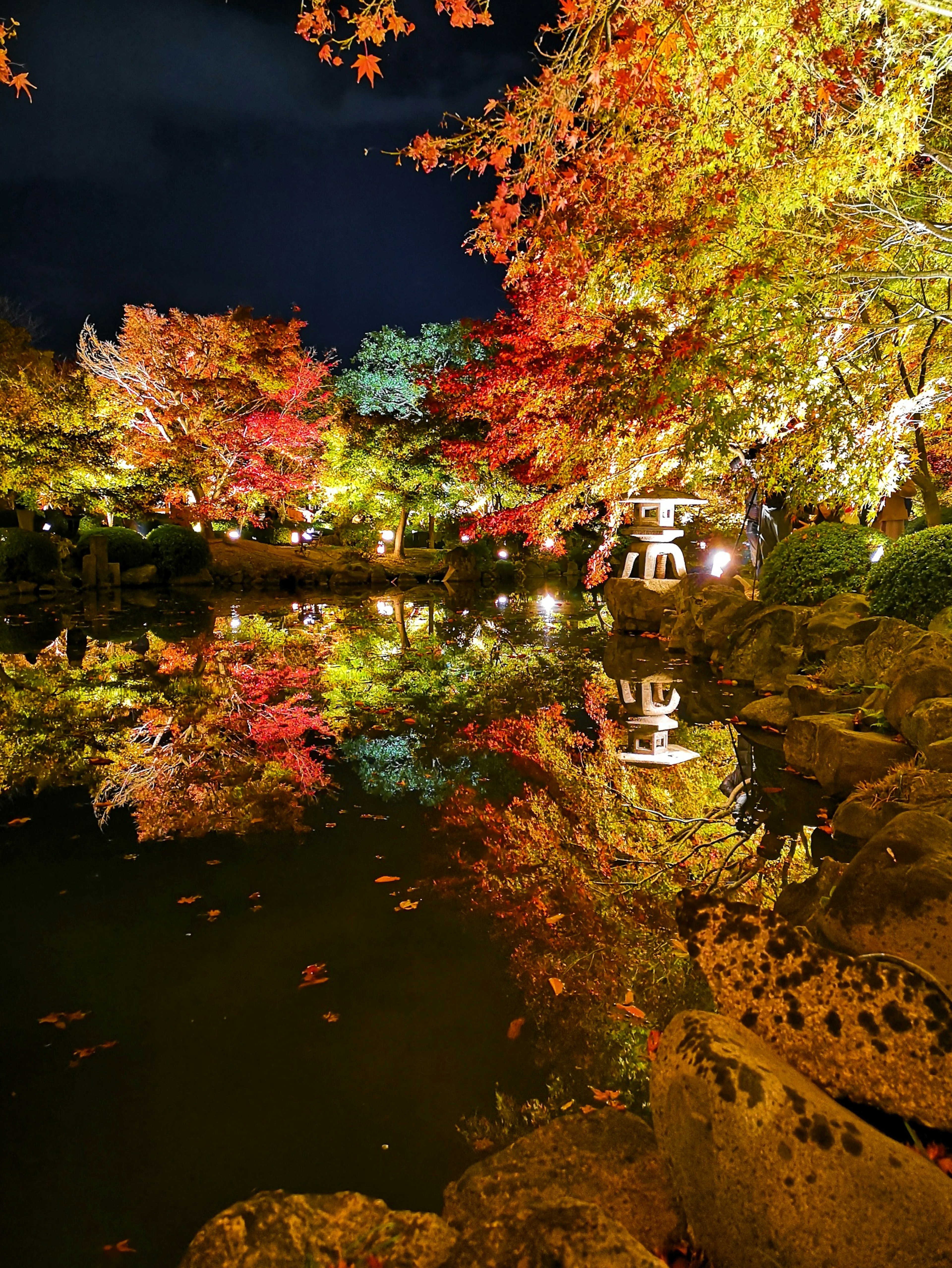 Bellissimo stagno giardino che riflette foglie autunnali e luce di lanterna di notte