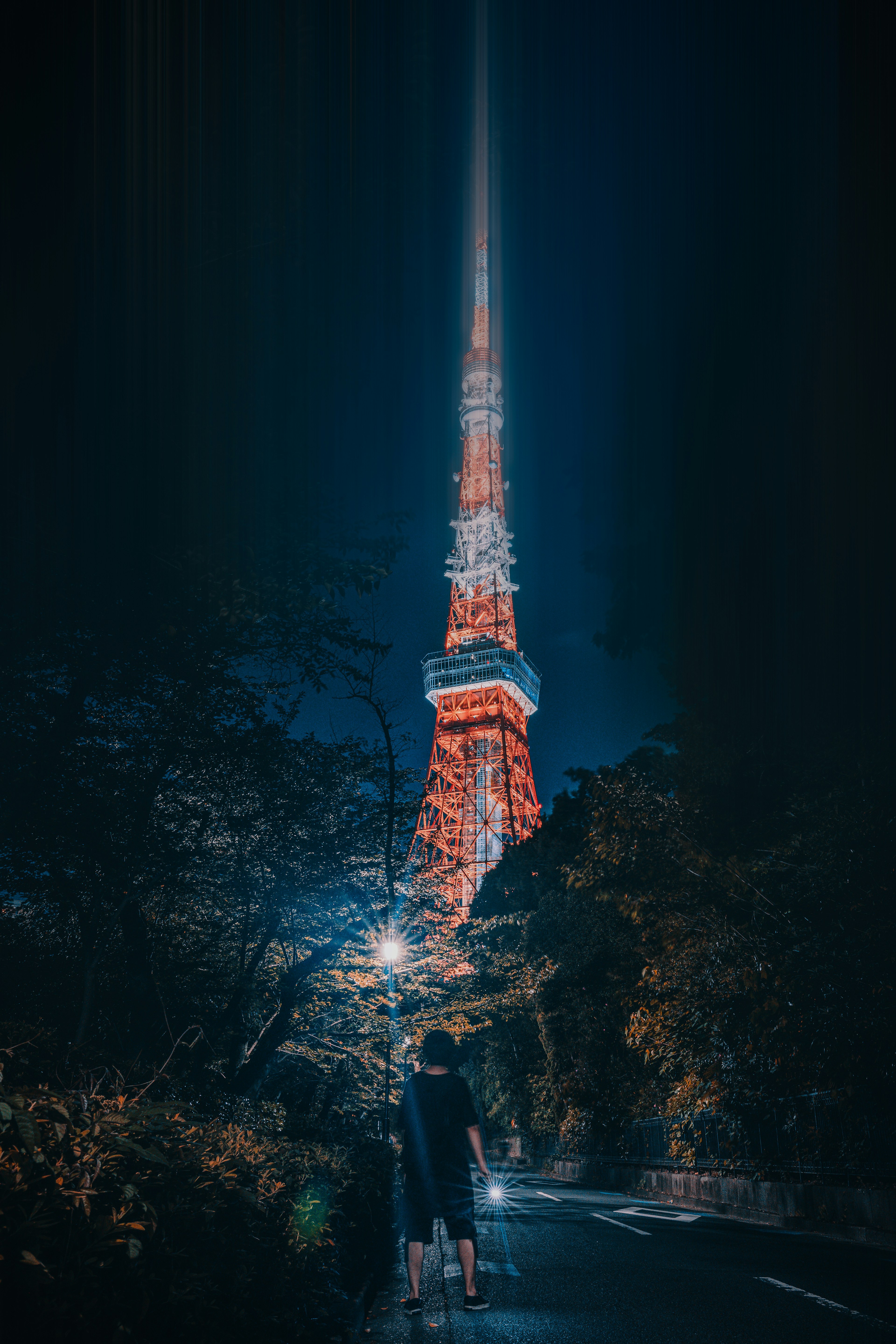 Tokyo Tower illuminated at night with a person standing among trees