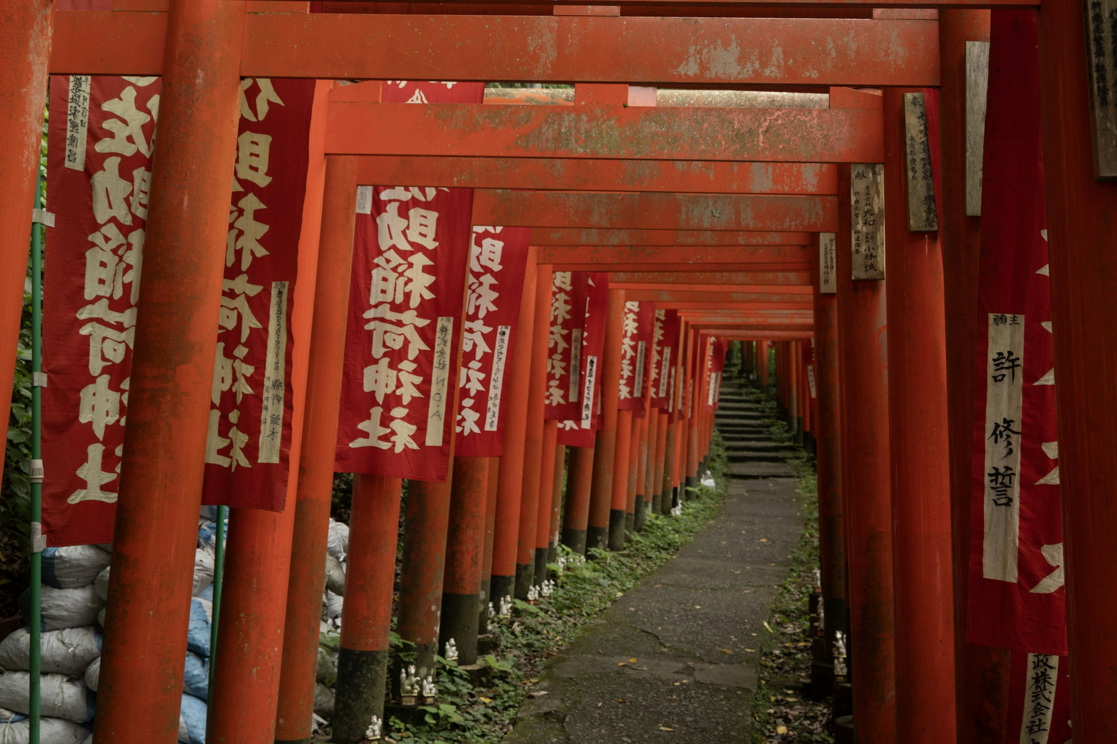 Weg gesäumt von roten Torii-Toren mit Bannern geschmückt