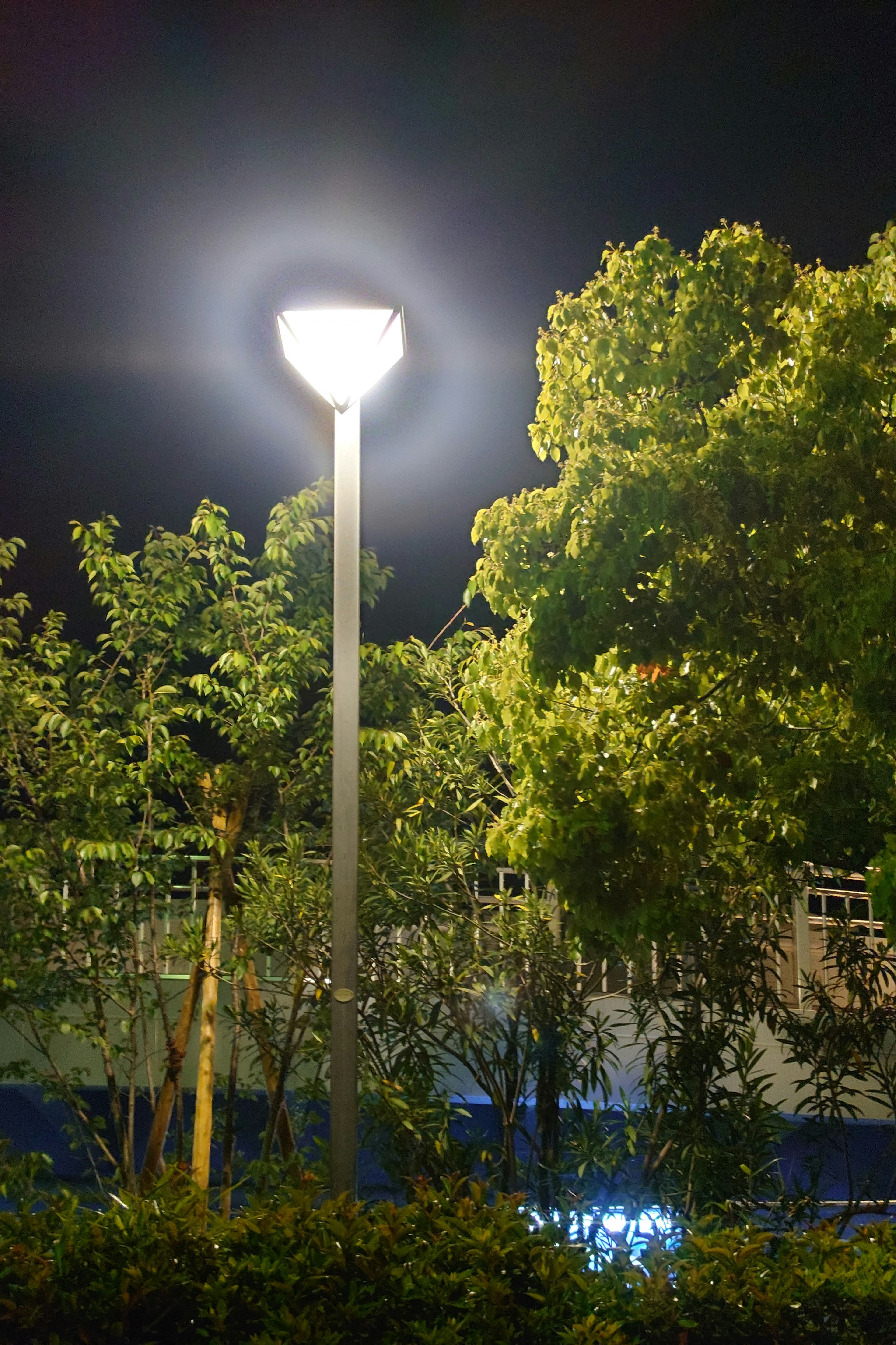 Vista nocturna de una farola rodeada de árboles