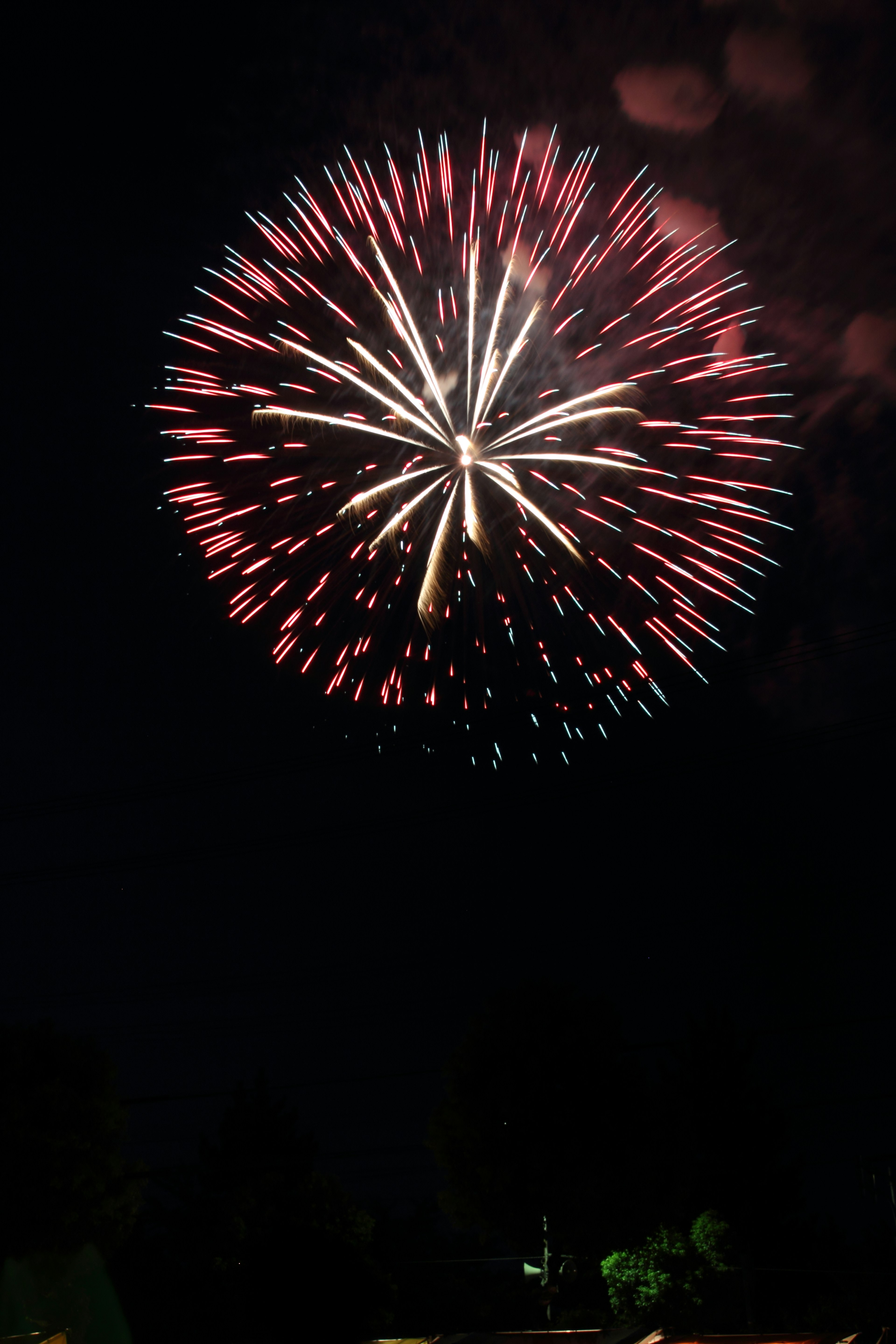 Vibrant fireworks bursting in the night sky