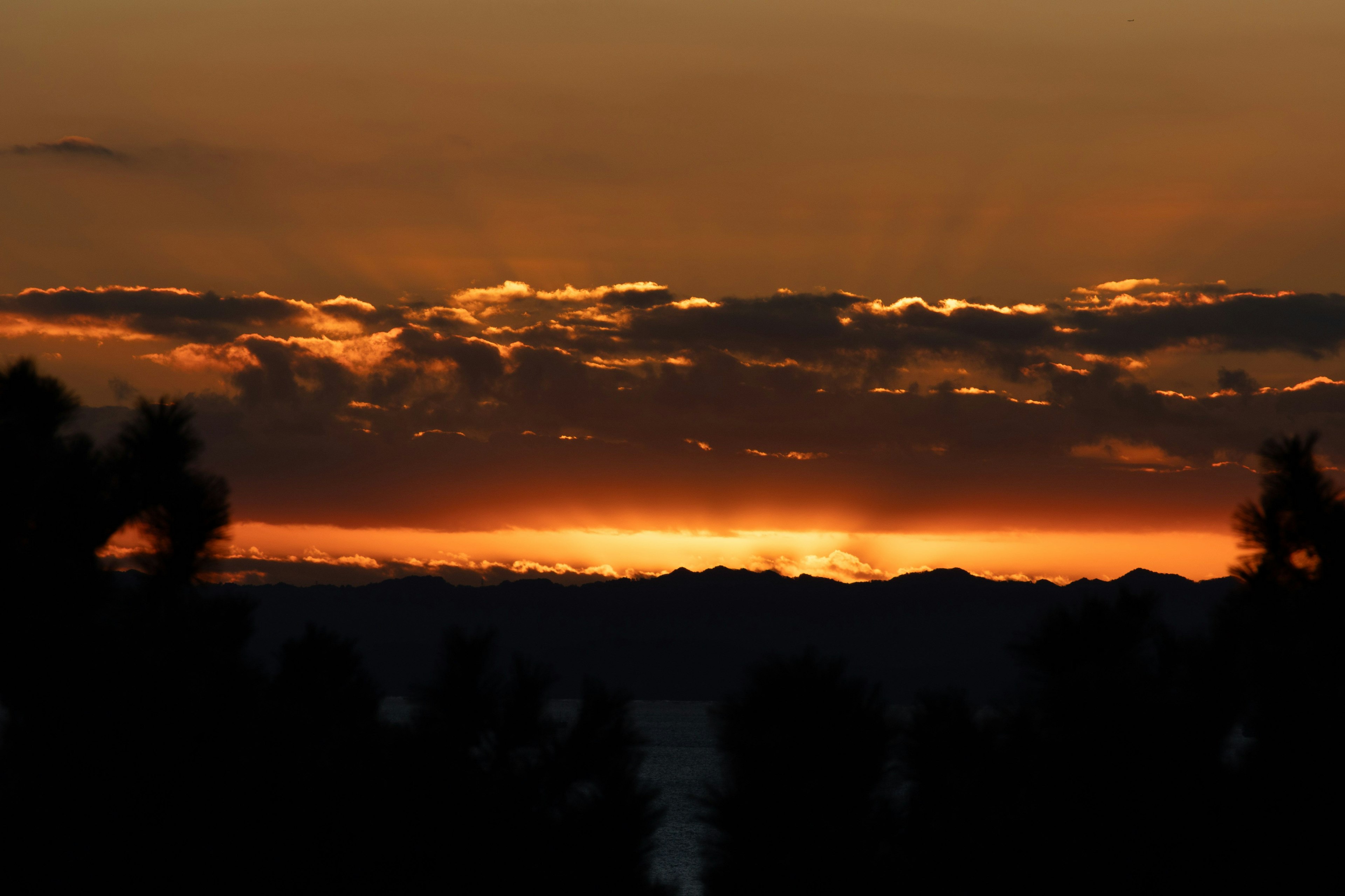 夕焼けの美しい風景、オレンジ色の空と黒いシルエットの木々