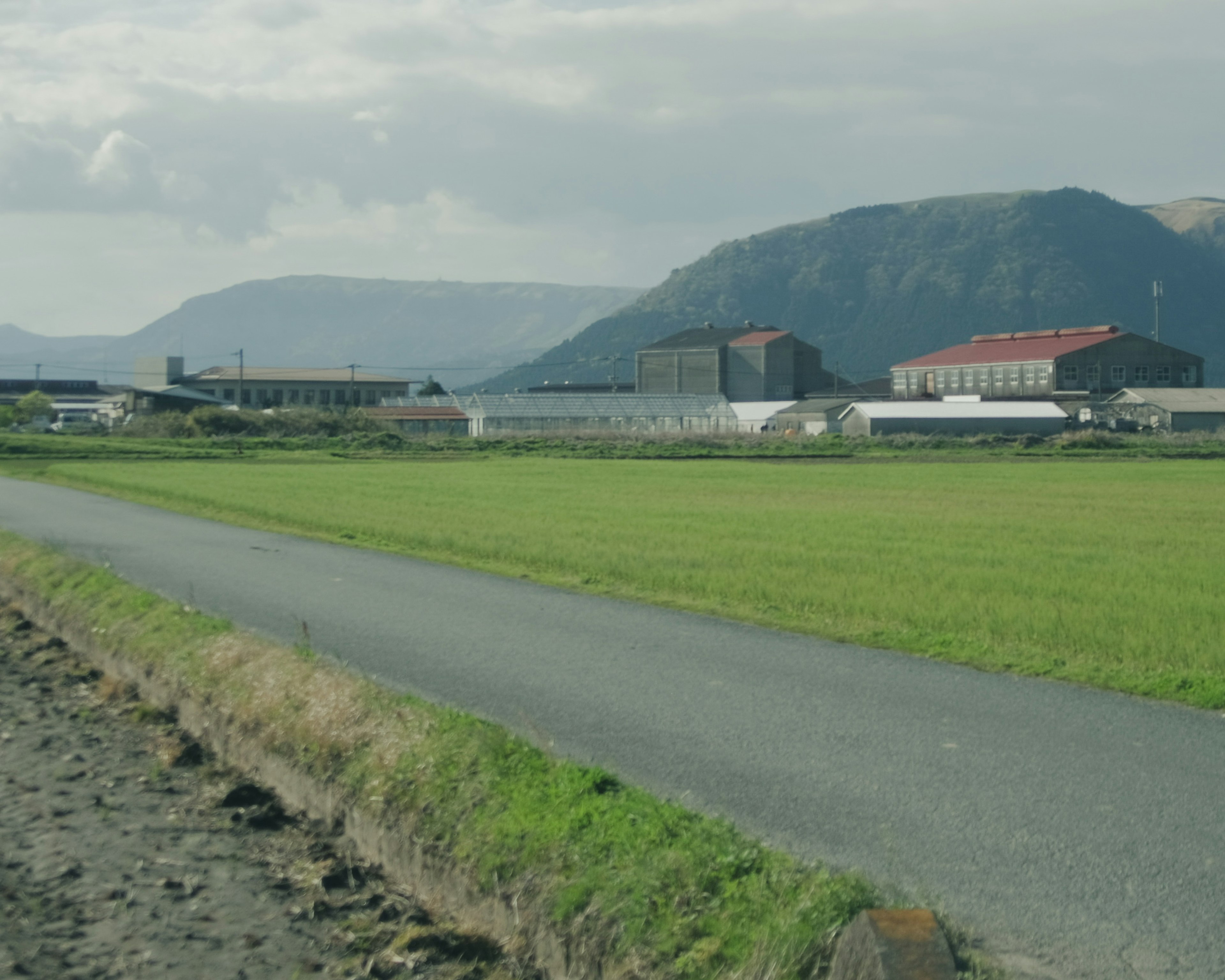 緑の田んぼと舗装された道が広がる風景 背景には山々と赤い屋根の建物