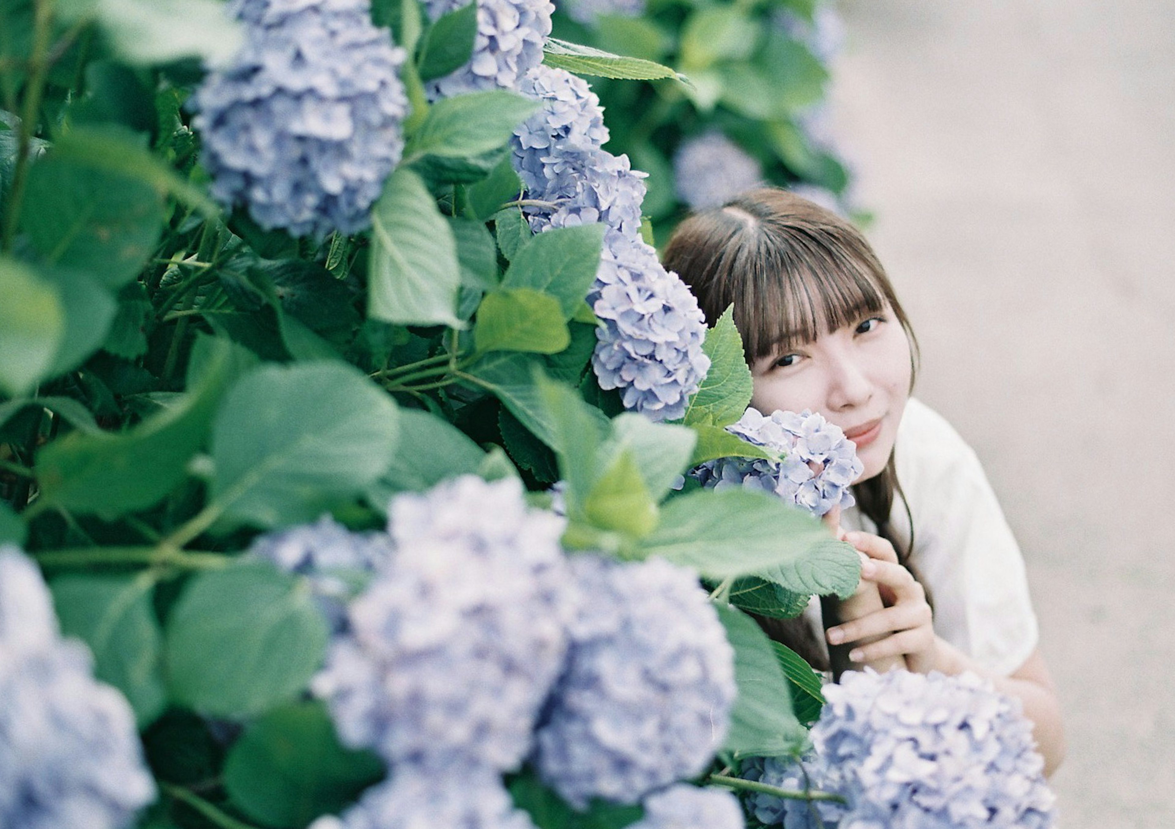 Retrato de una mujer entre flores de hortensia azules