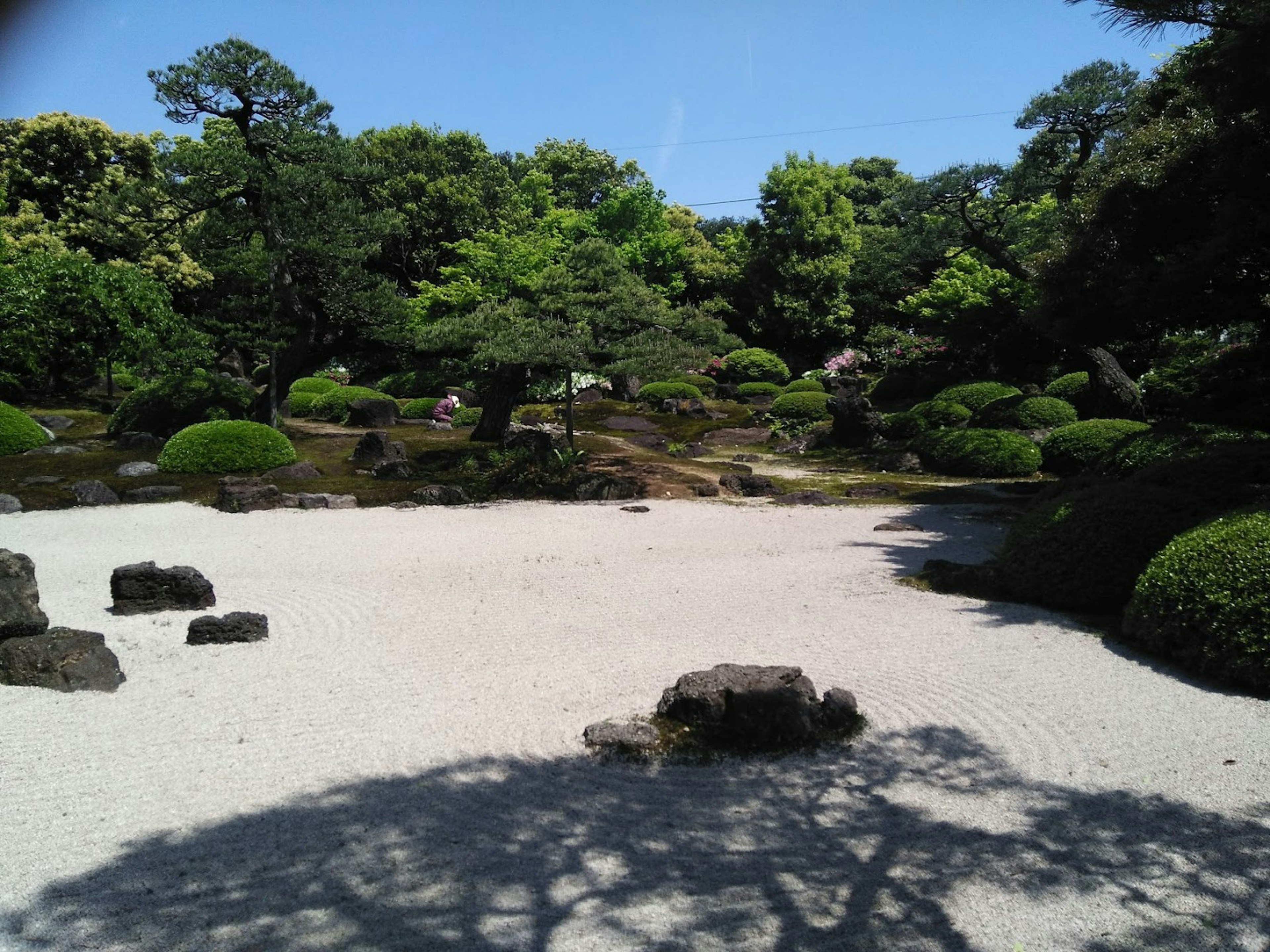 Pemandangan taman Jepang yang rimbun dengan jalur kerikil dan susunan batu