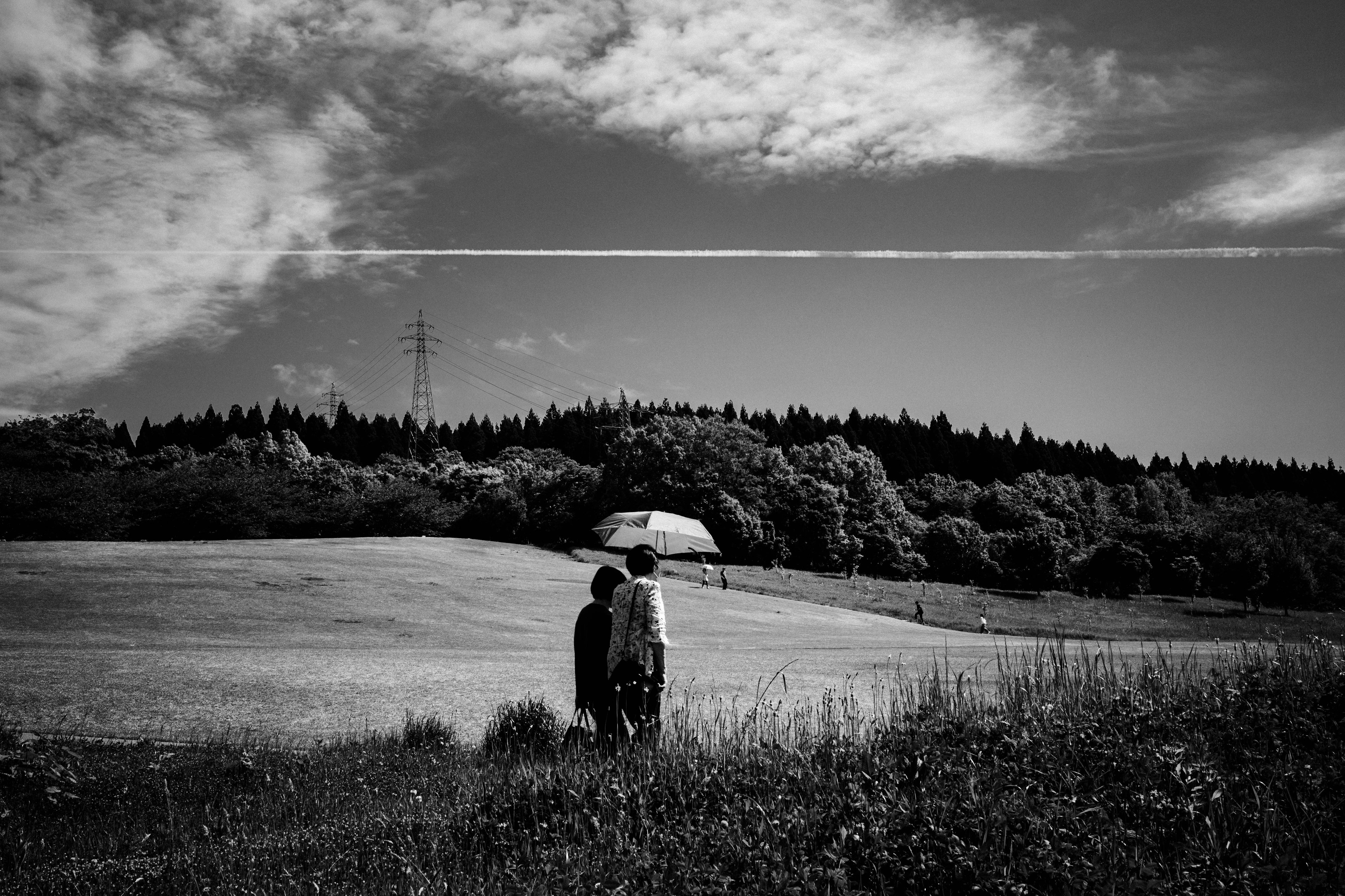 Couple se tenant dans un paysage en noir et blanc avec des collines vertes et un ciel bleu en arrière-plan