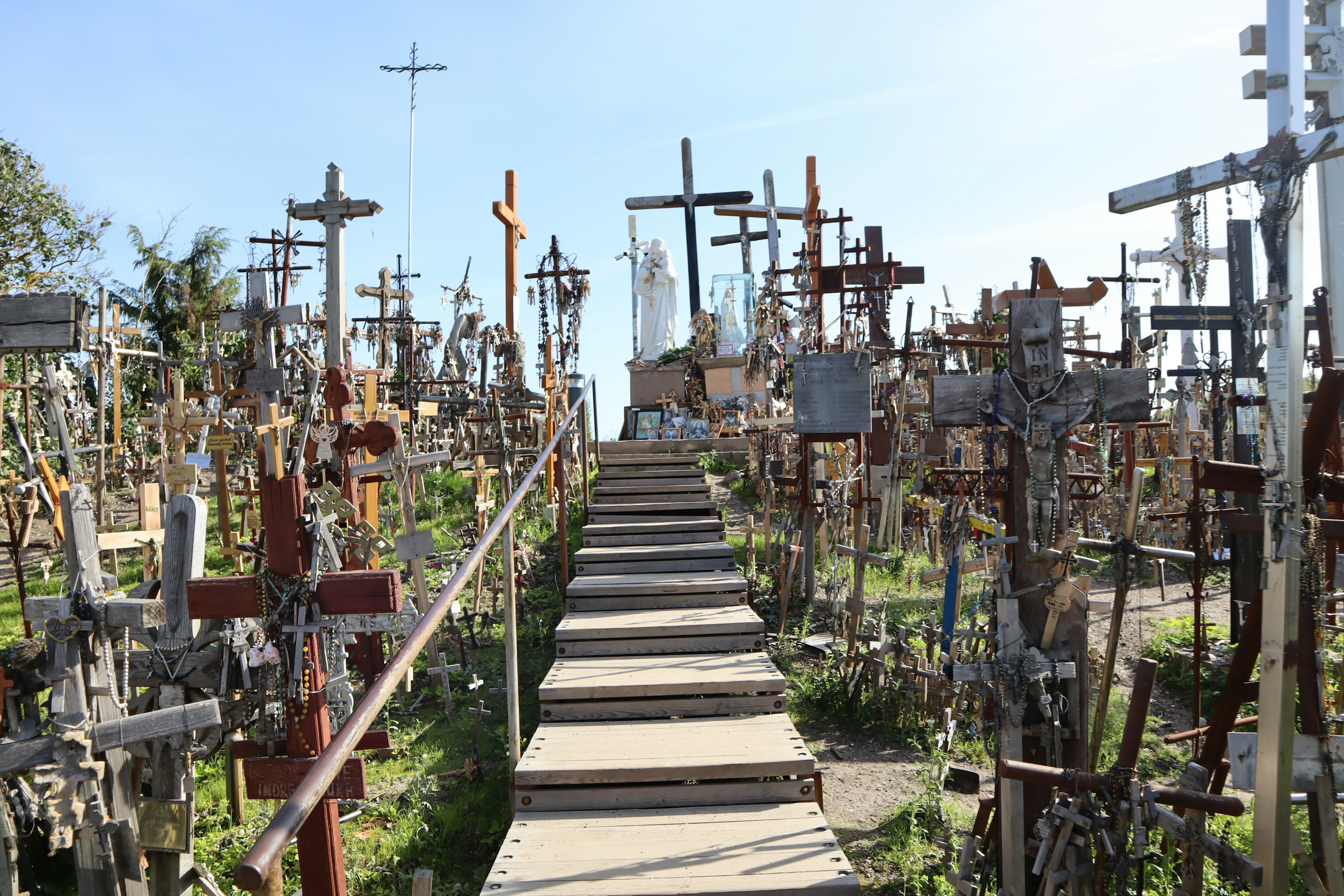 Landscape of a cemetery with numerous crosses, featuring green grass and a wooden pathway