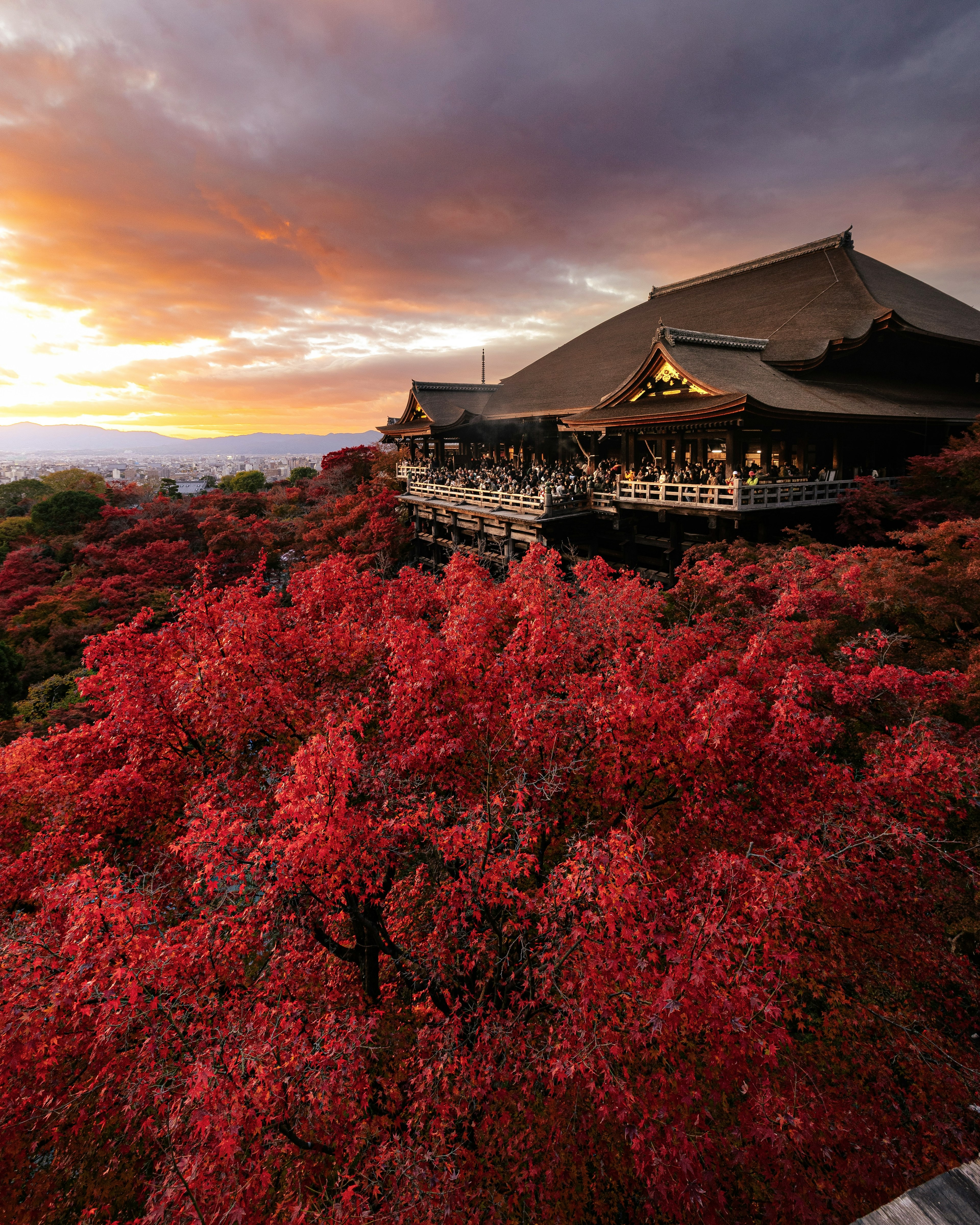 Temple japonais traditionnel entouré de feuillage d'automne vibrant au coucher du soleil