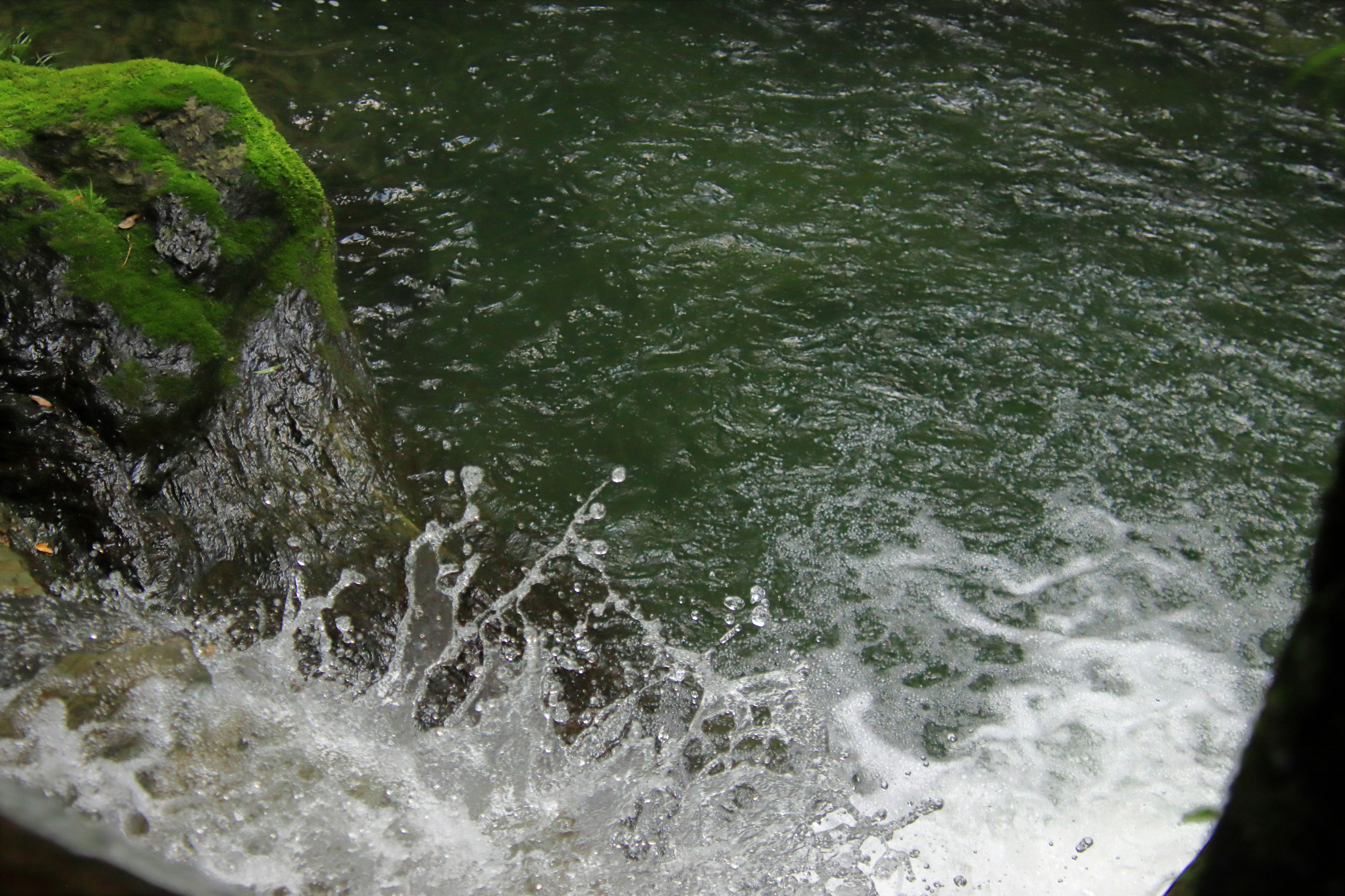 Splashing water over mossy rocks in a tranquil setting