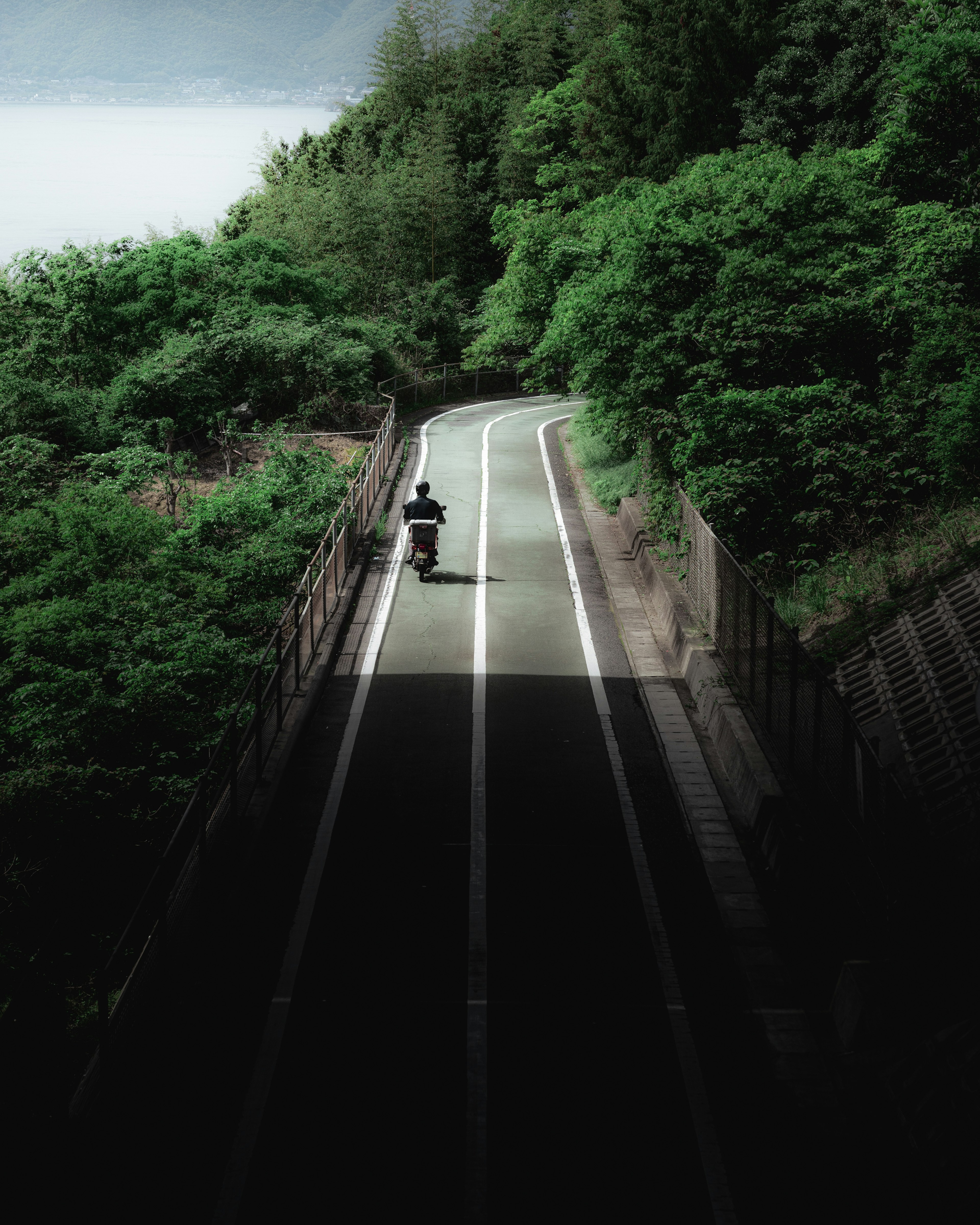 緑に囲まれた自転車道を走る自転車のライダー