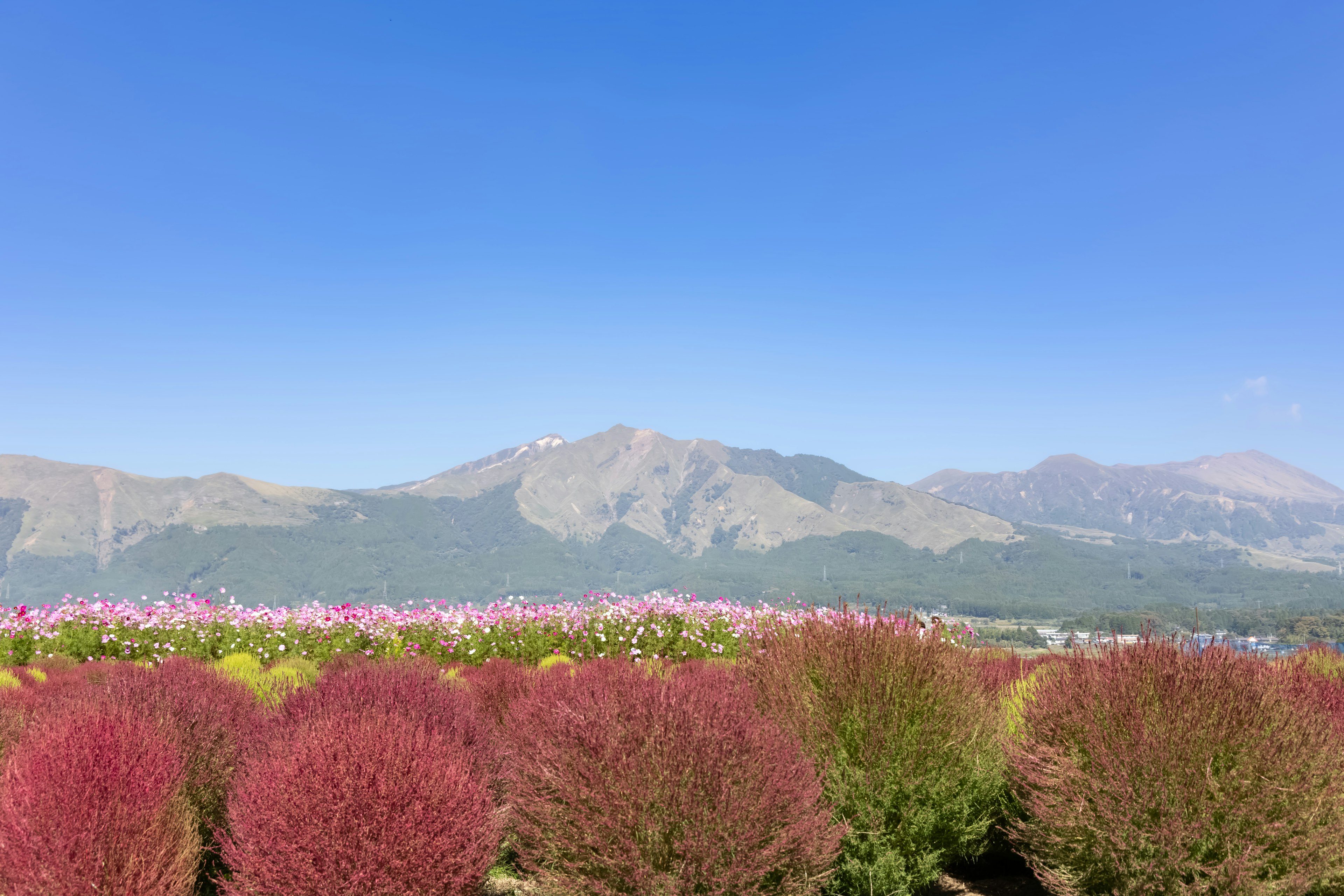 美しい山々と色とりどりの花畑が広がる風景