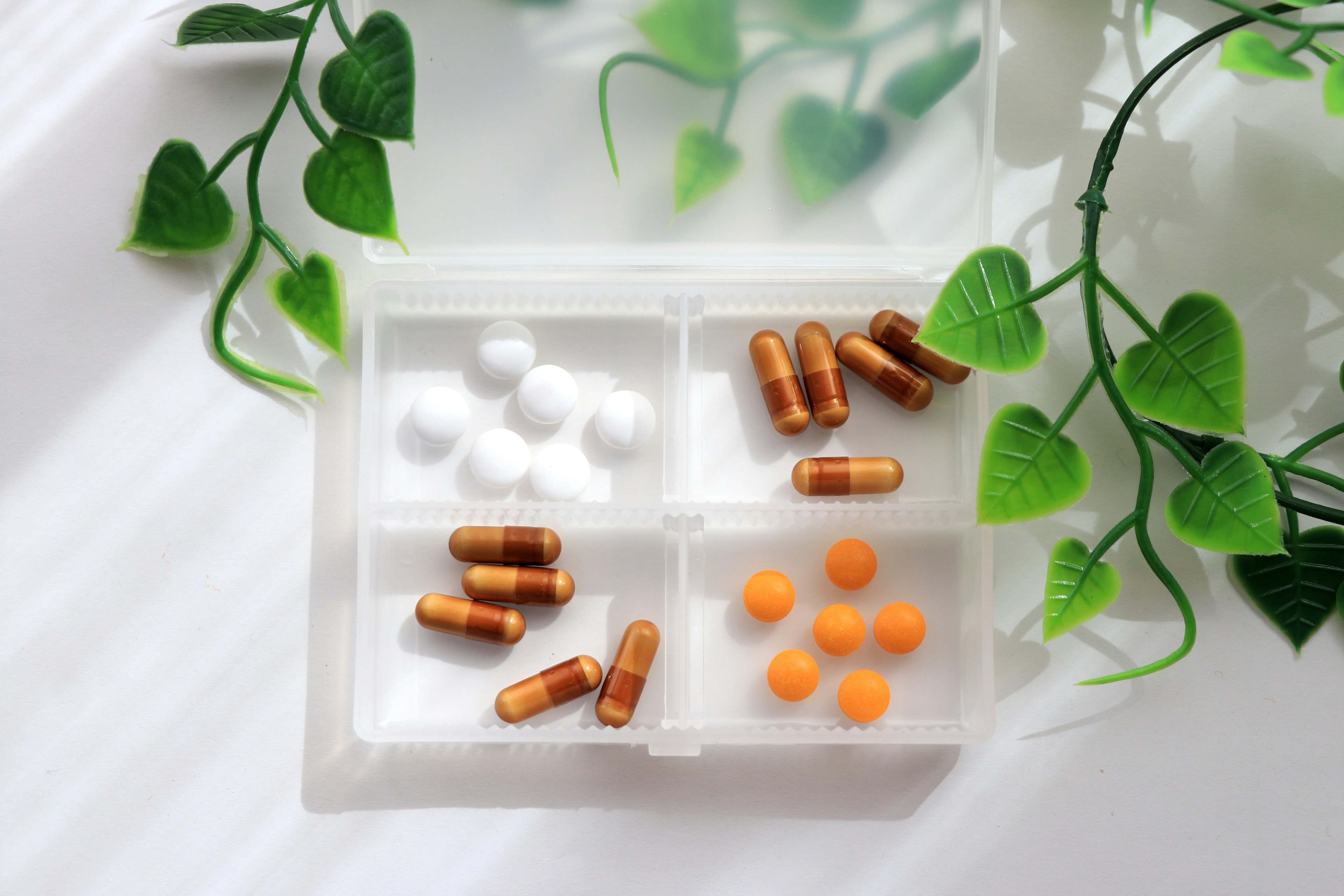 A pill organizer containing white tablets brown capsules and orange pills alongside green leaves