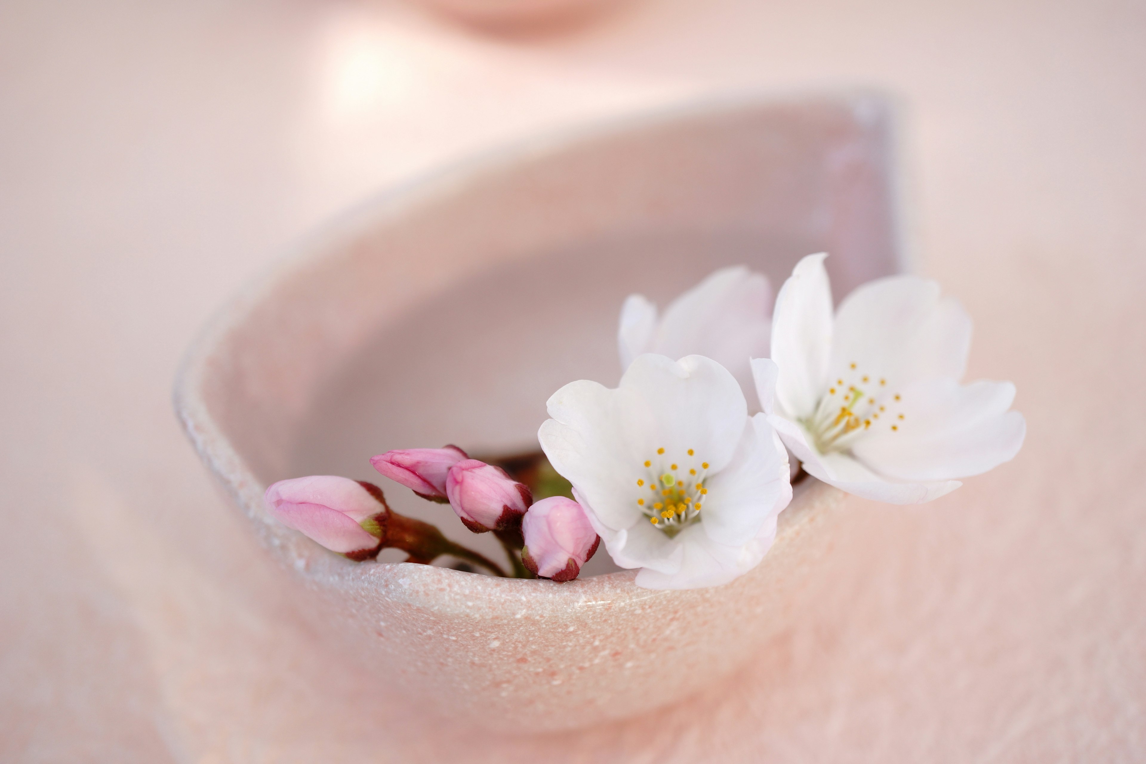 Un tazón delicado con flores blancas y capullos rosas dispuestos elegantemente